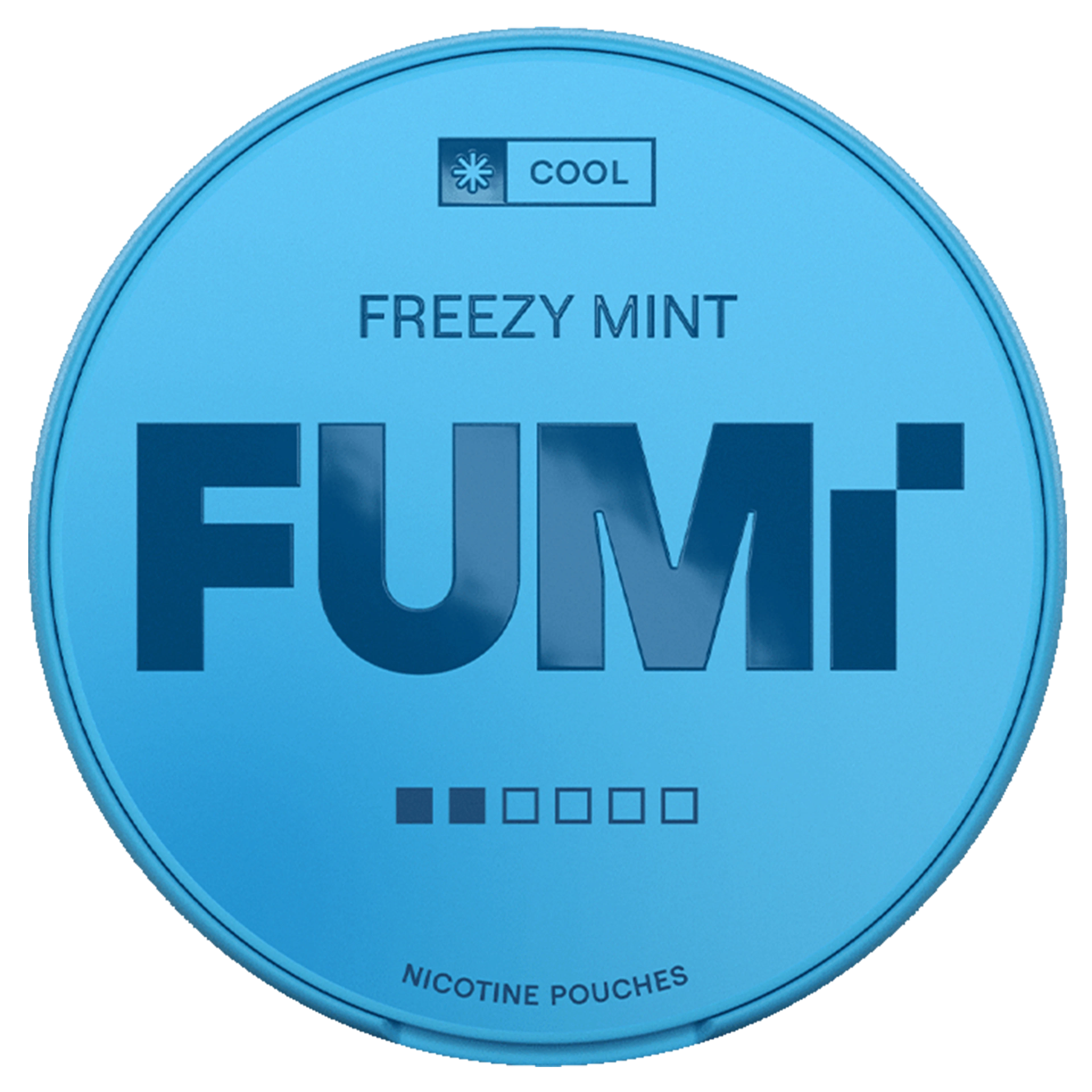 FUMi Freezy Mint 2