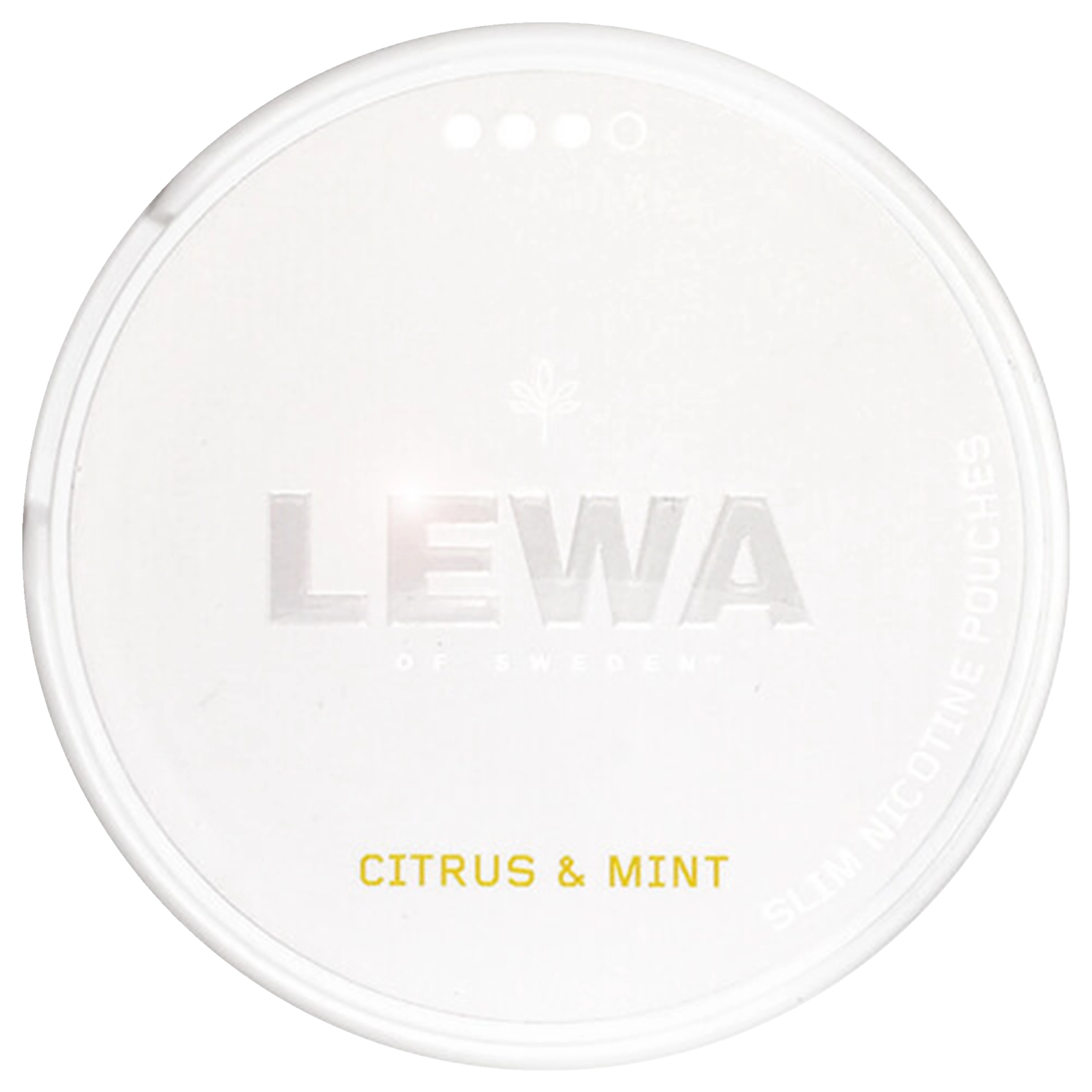LEWA Citrus Mint
