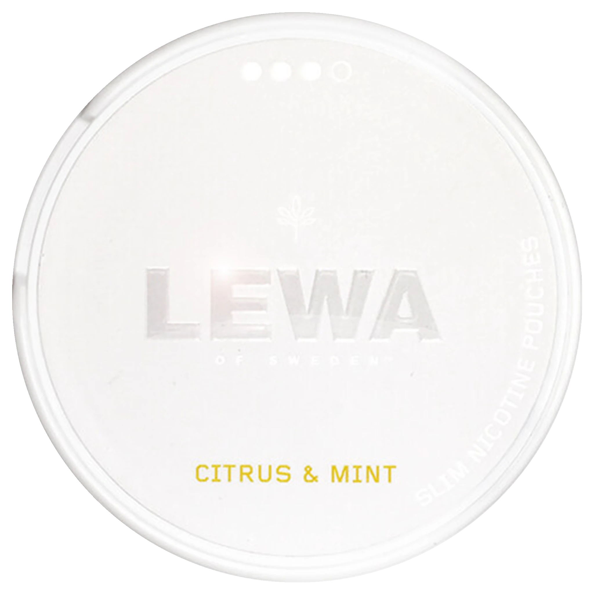 LEWA Citrus Mint