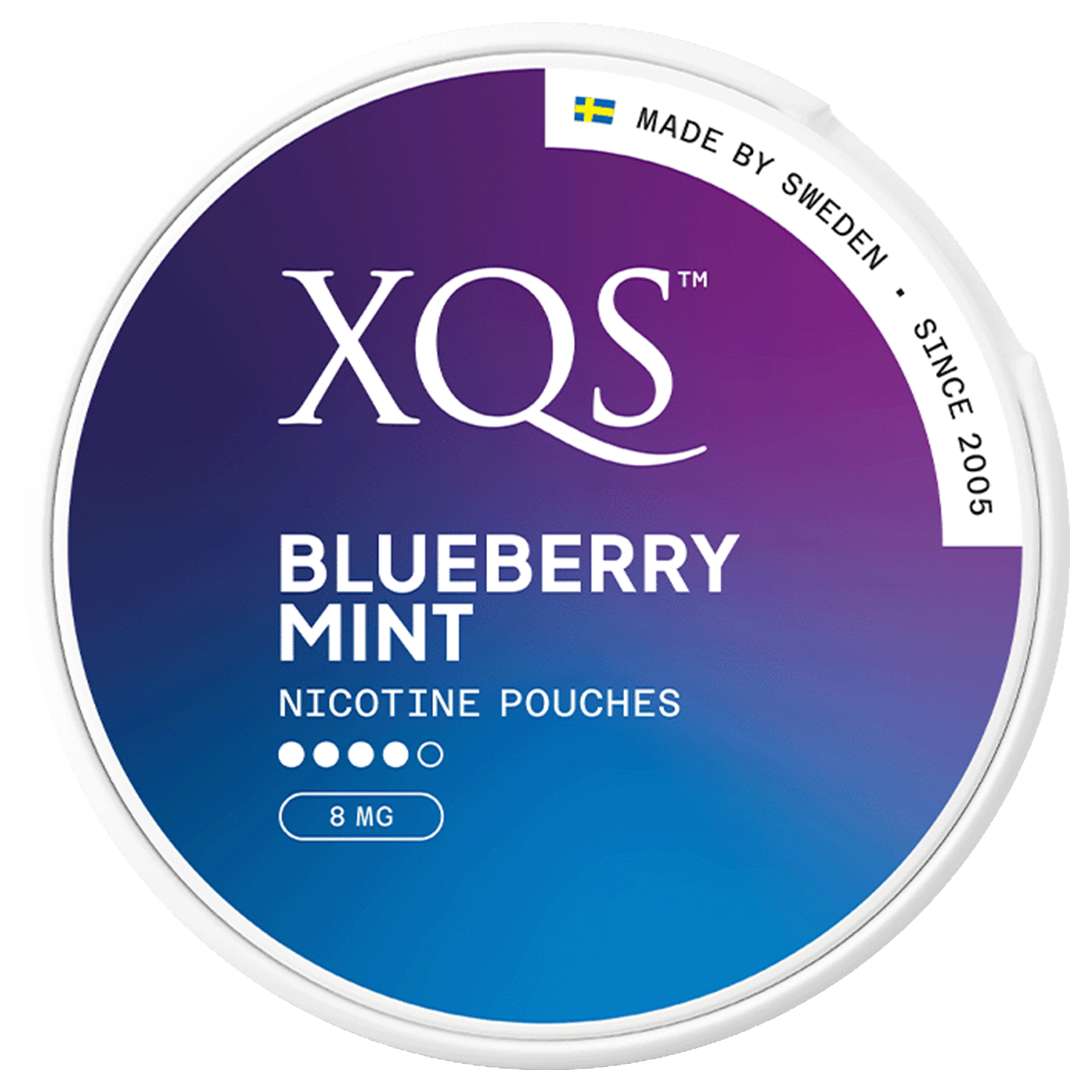 XQS Blueberry Mint 8 mg 4