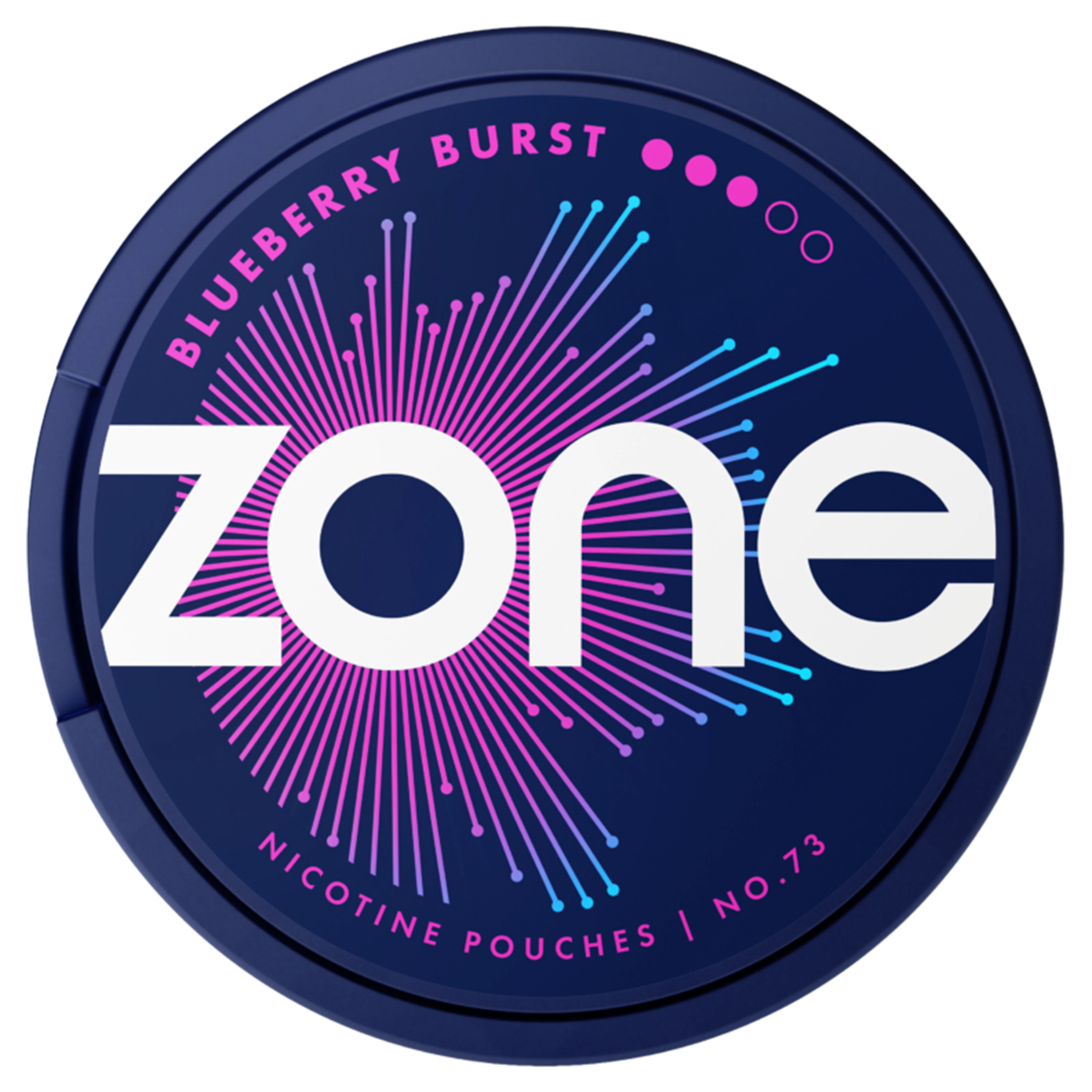 Zone No. 73 Blueberry Burst 3