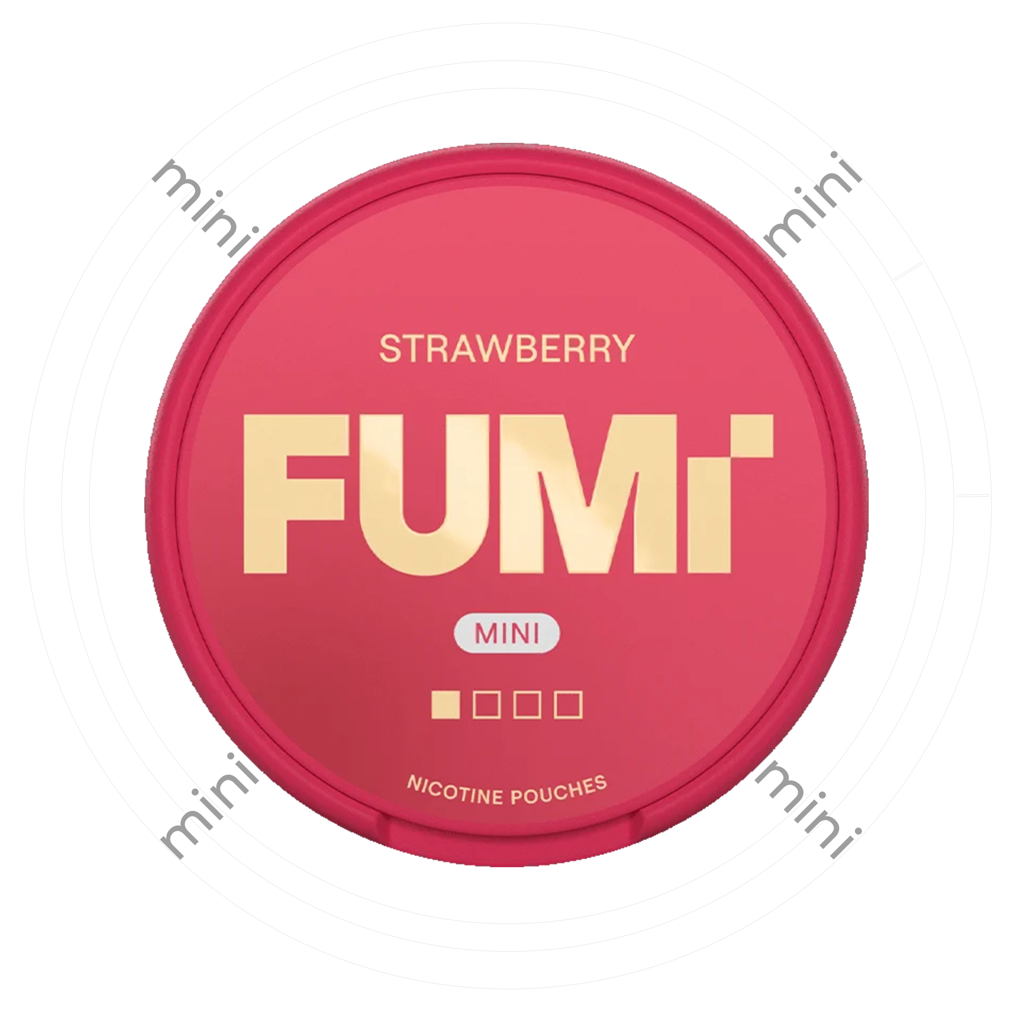 FUMi Strawberry Mini 1