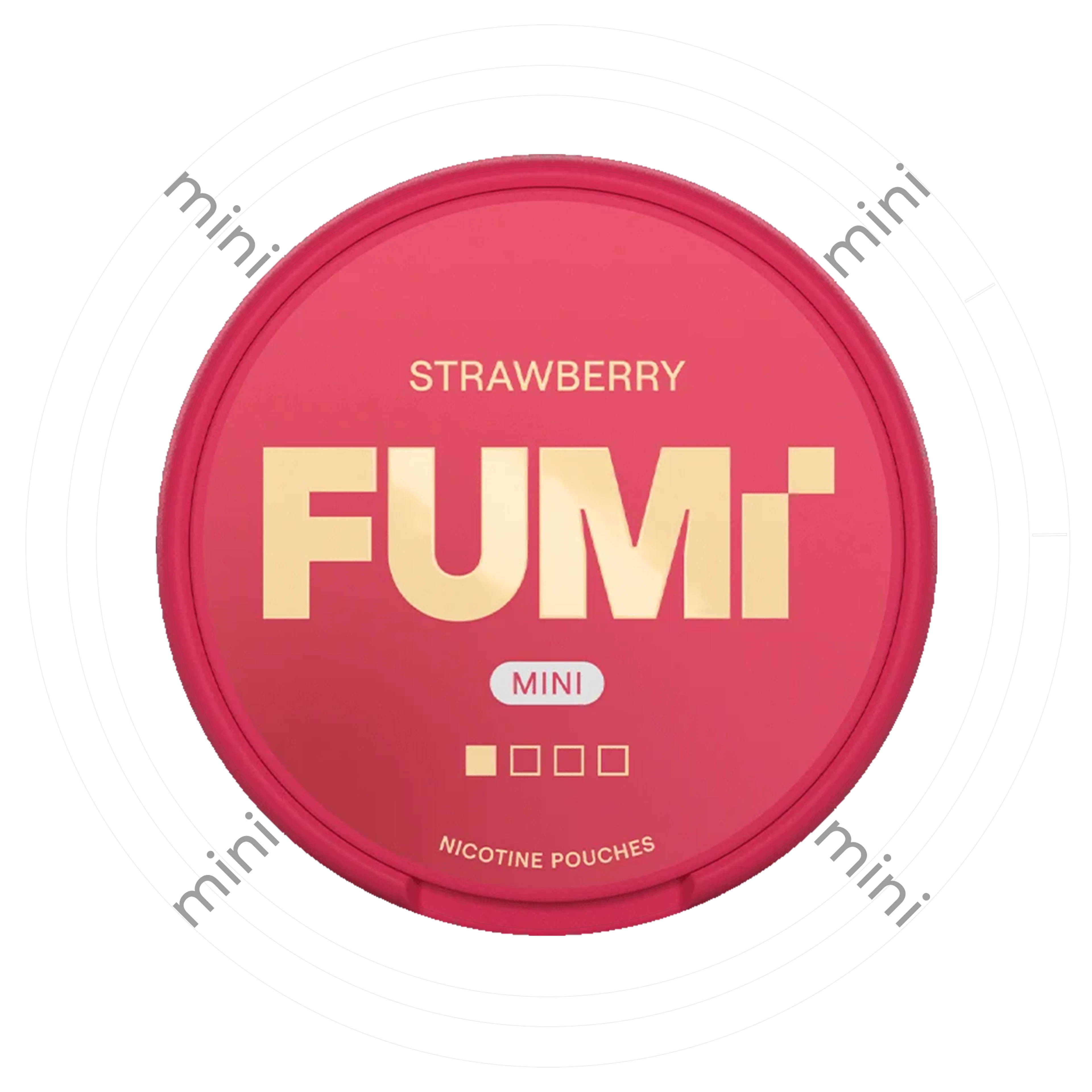FUMi Strawberry Mini 1