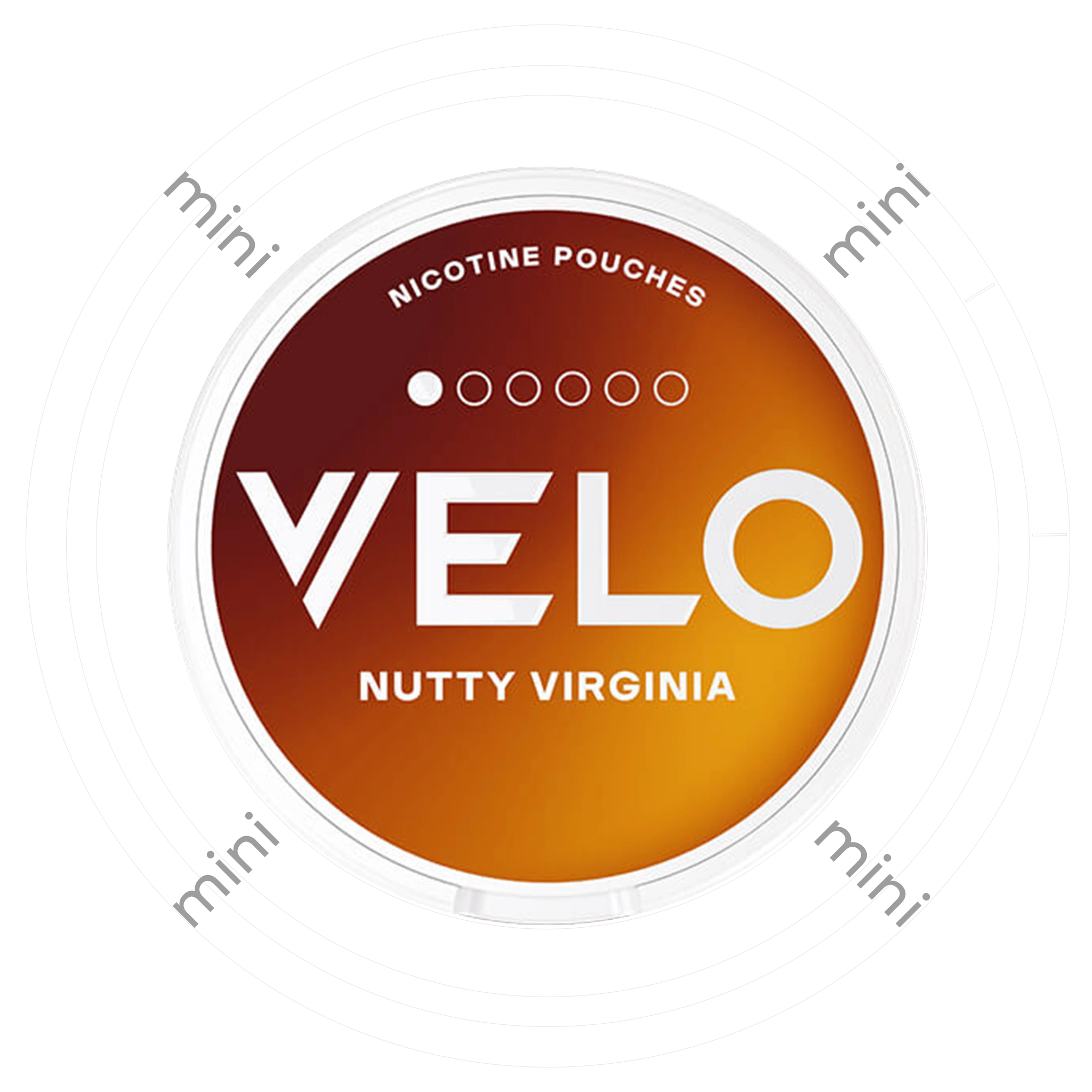Velo Nutty Virginia Mini