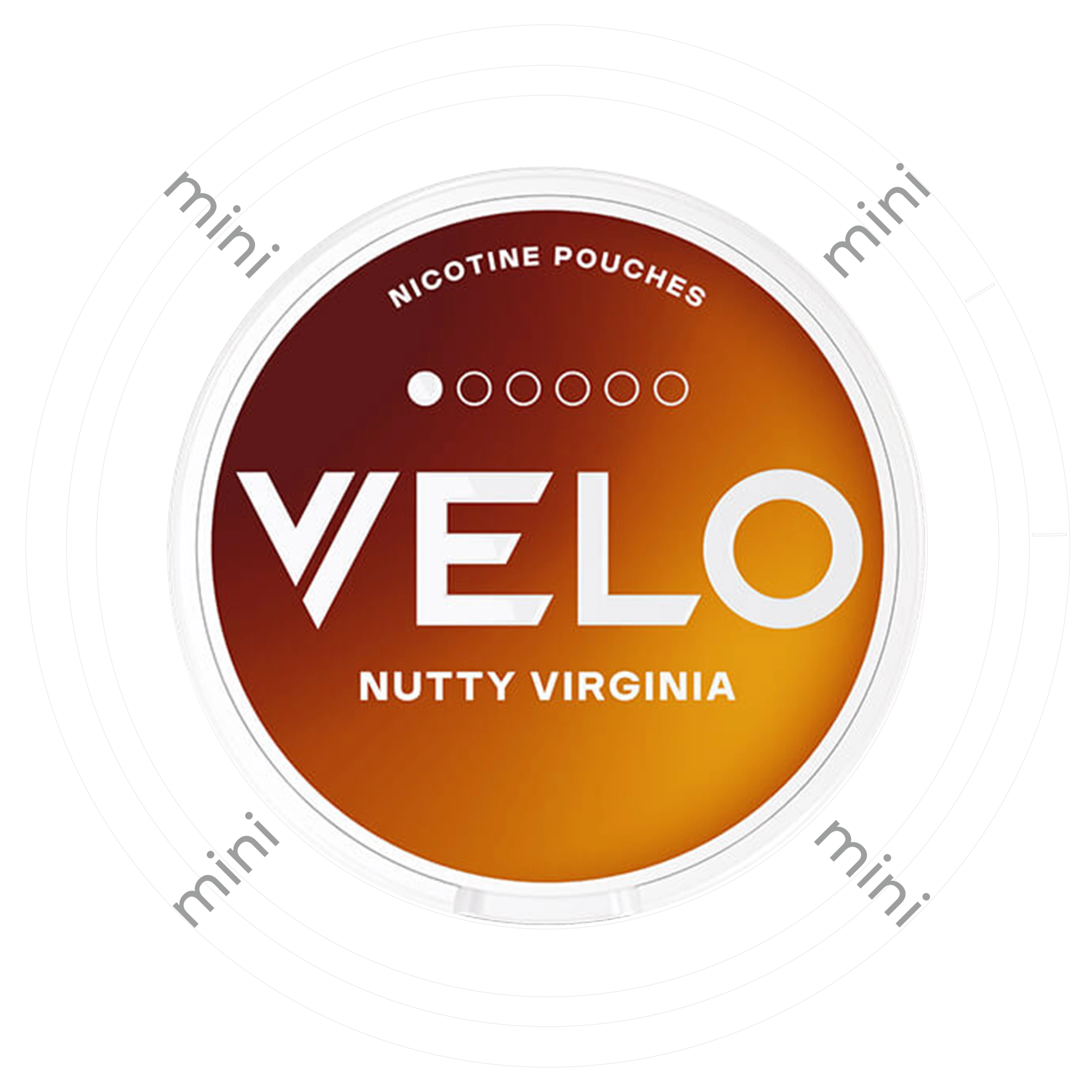 Velo Nutty Virginia Mini