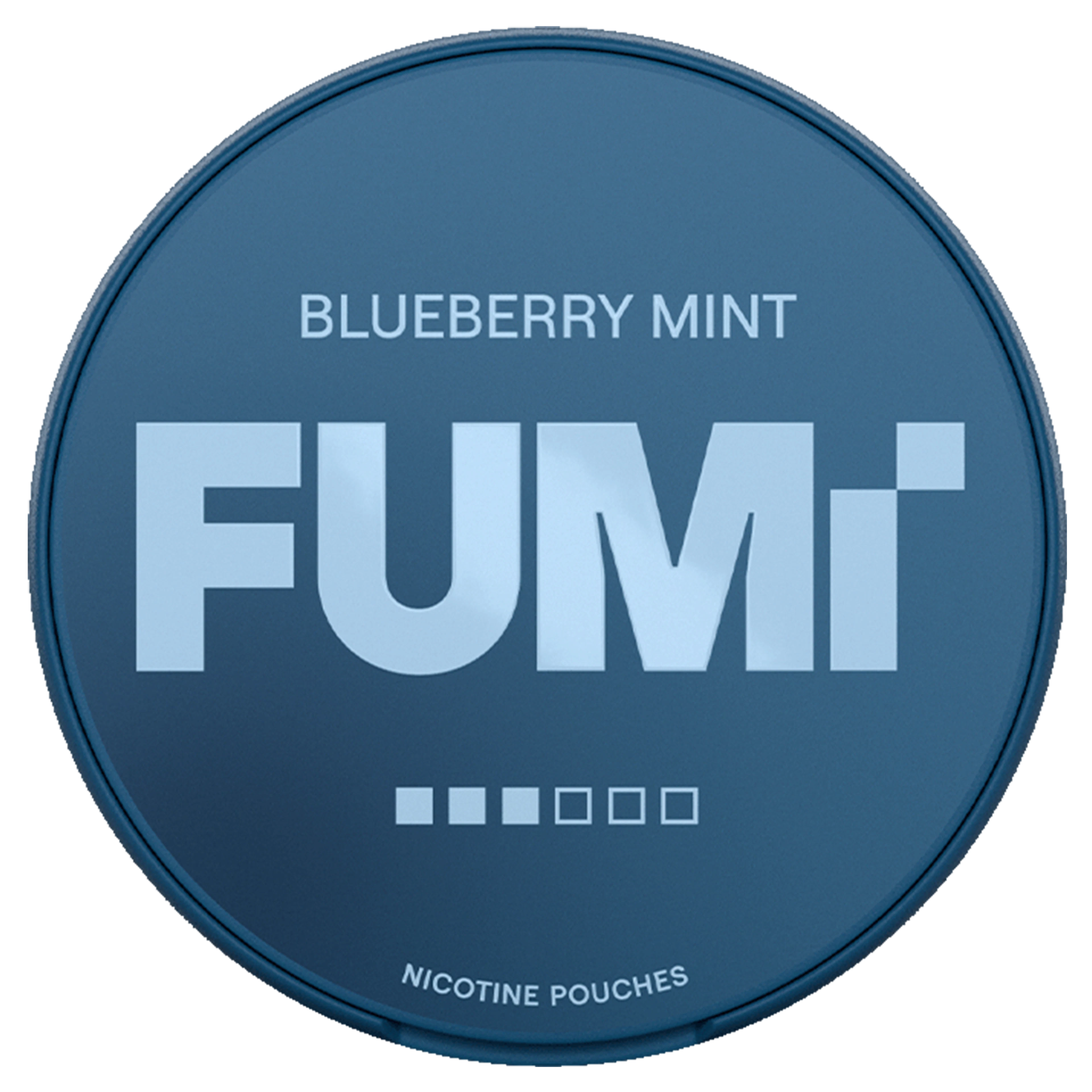 FUMi Blueberry Mint 3