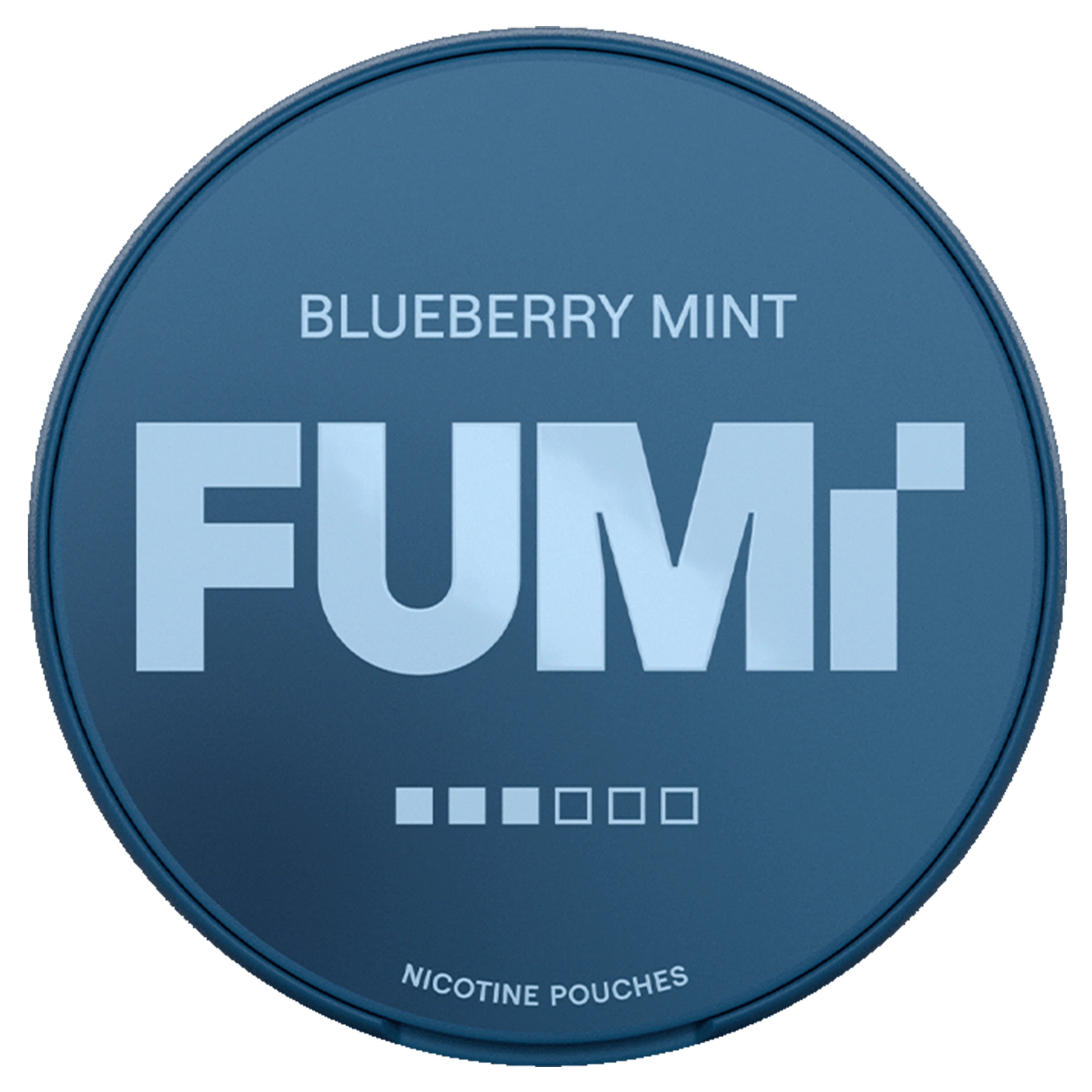 FUMi Blueberry Mint 3