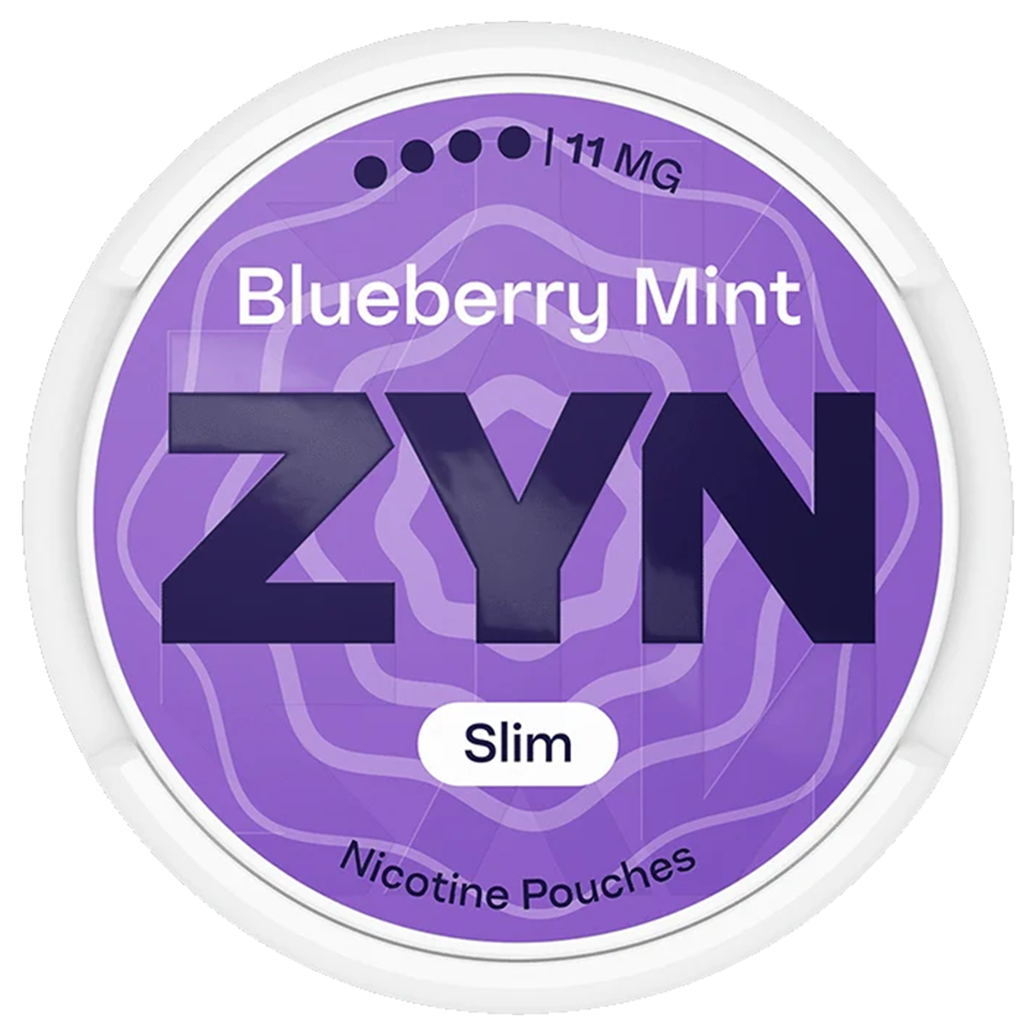 Zyn Blueberry Mint 4