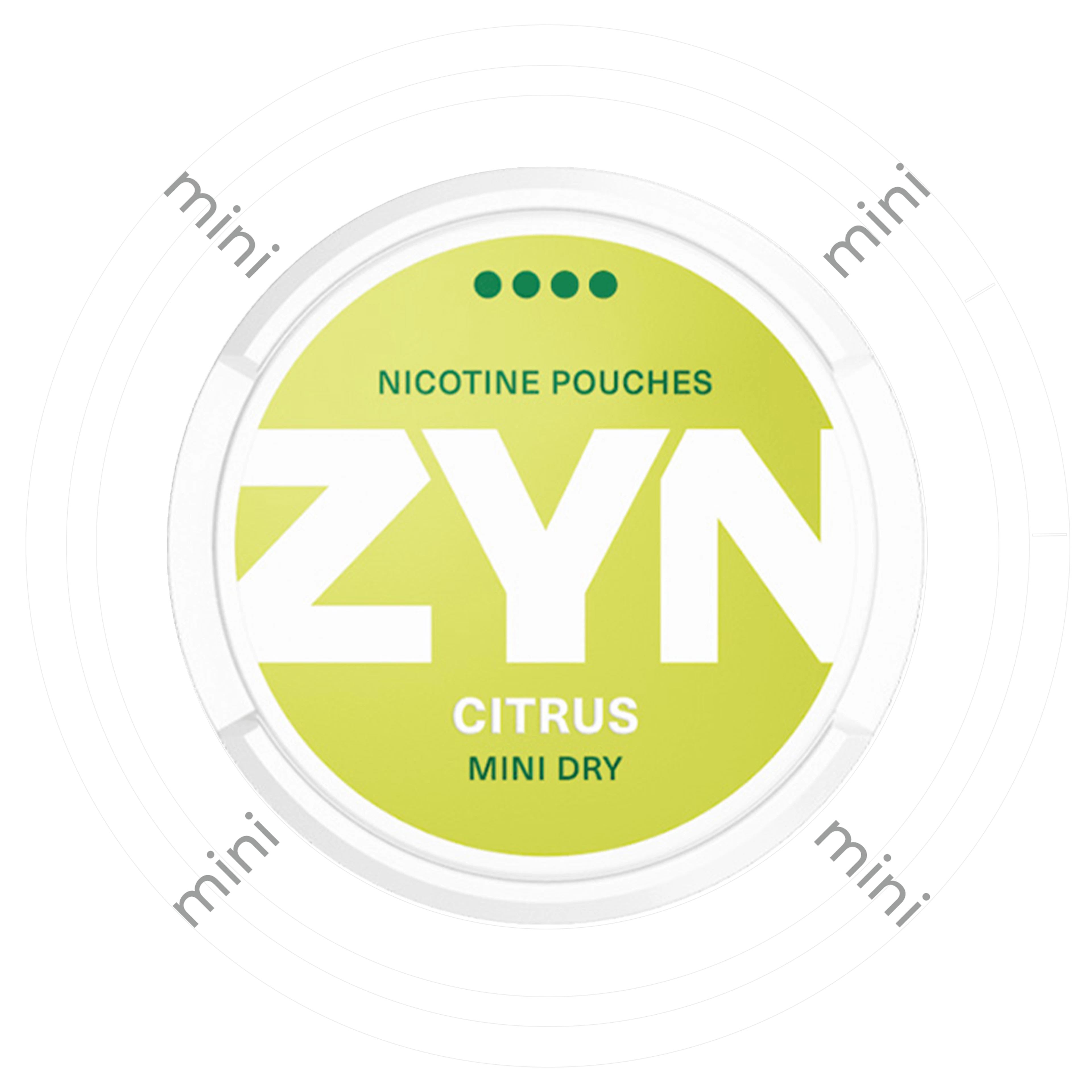 Zyn Citrus Mini Dry 4