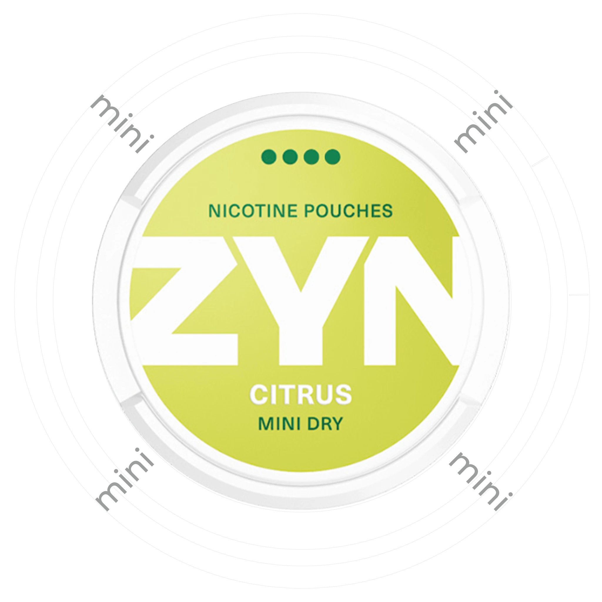 Zyn Citrus Mini Dry 4