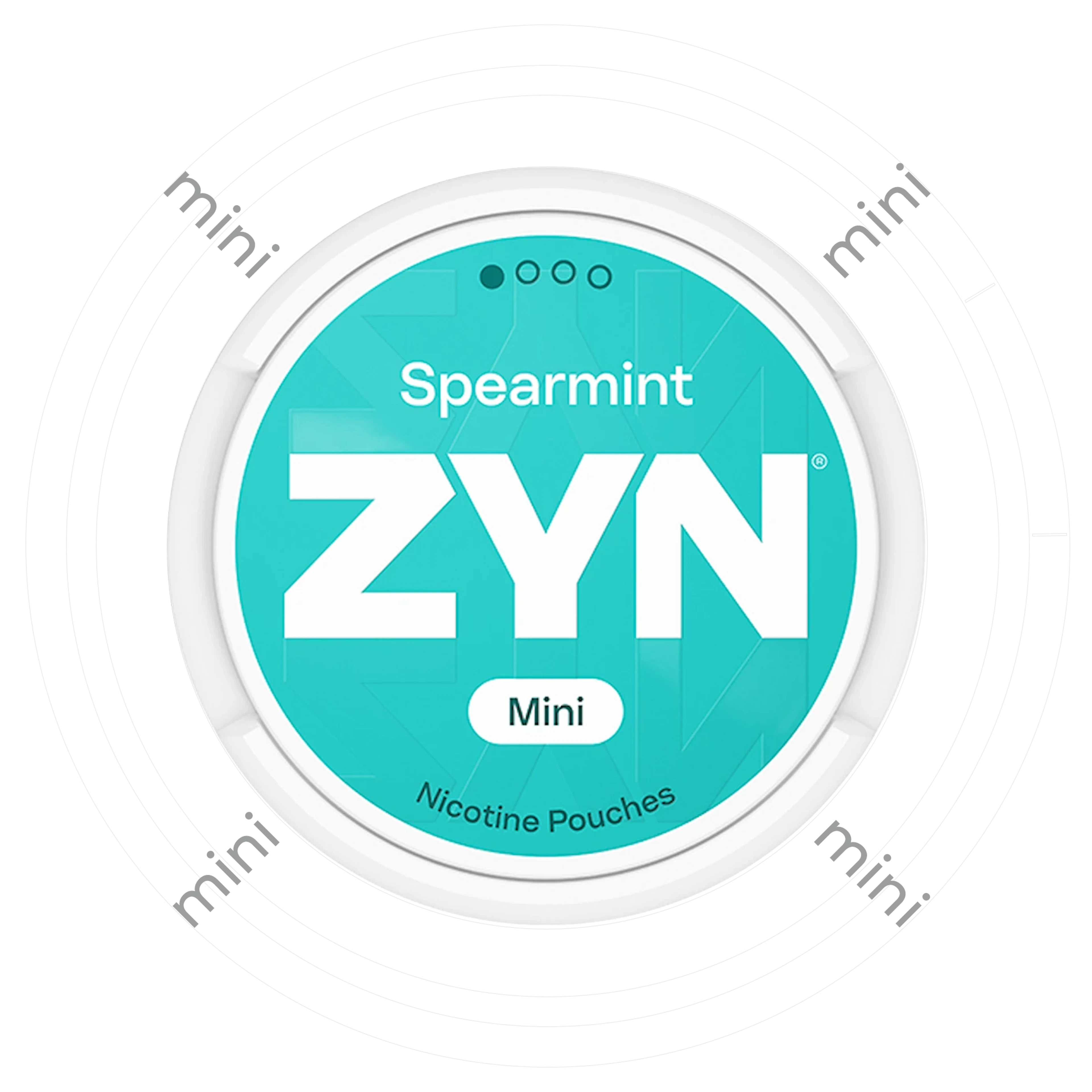 Zyn Spearmint Mini 1
