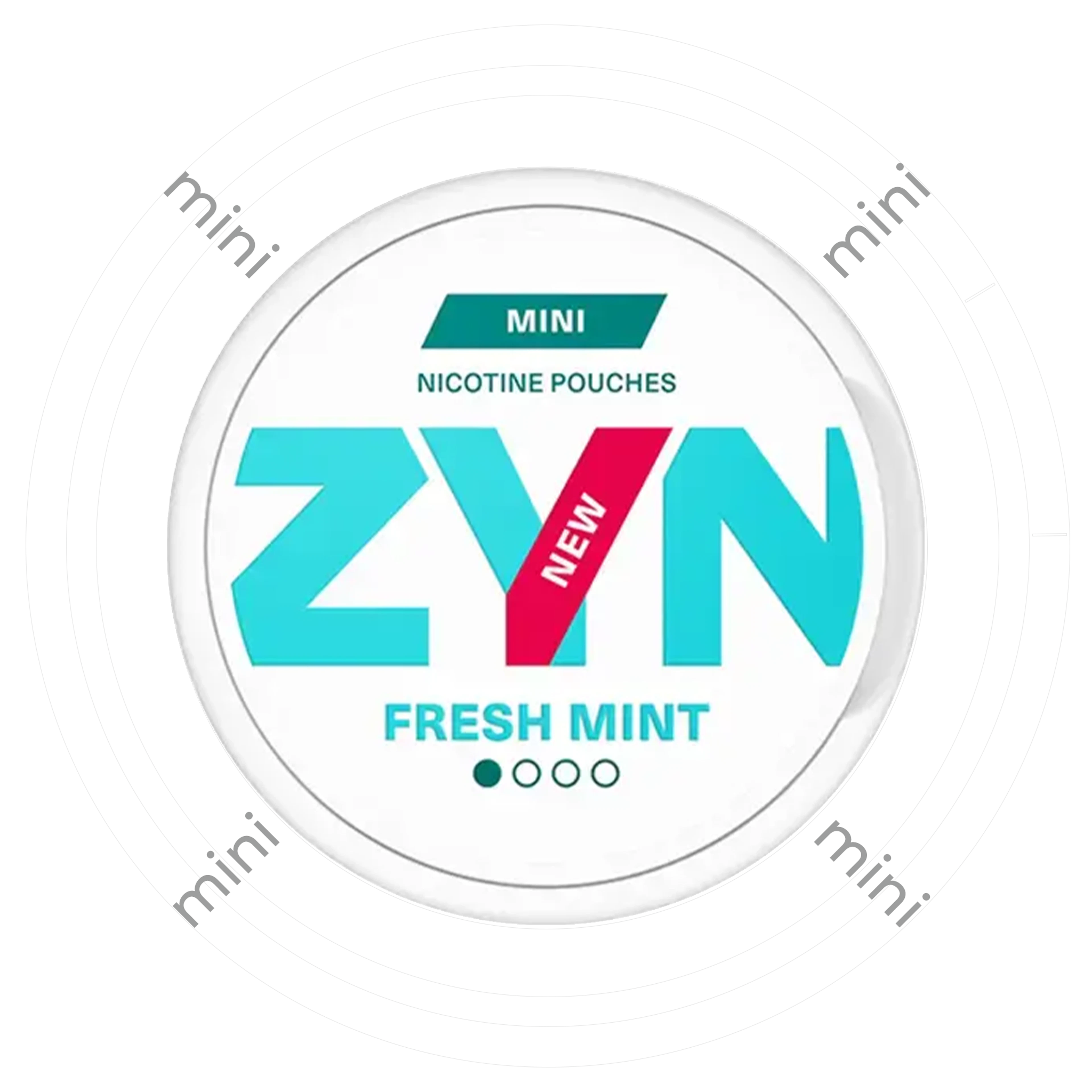 Zyn Fresh Mint Mini 1