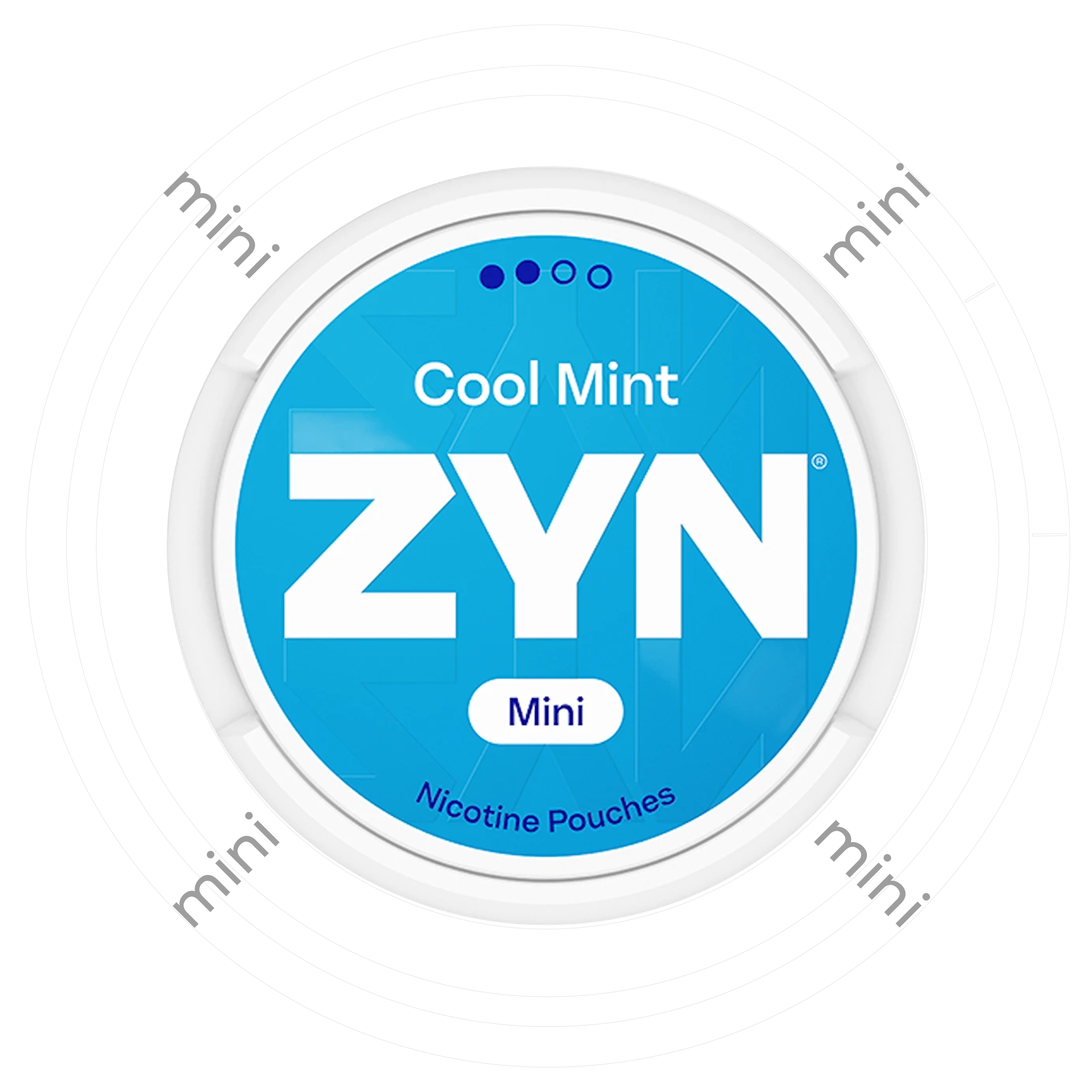 Styrka Styrka Minizyn Mint Normal - nikotinpåsar