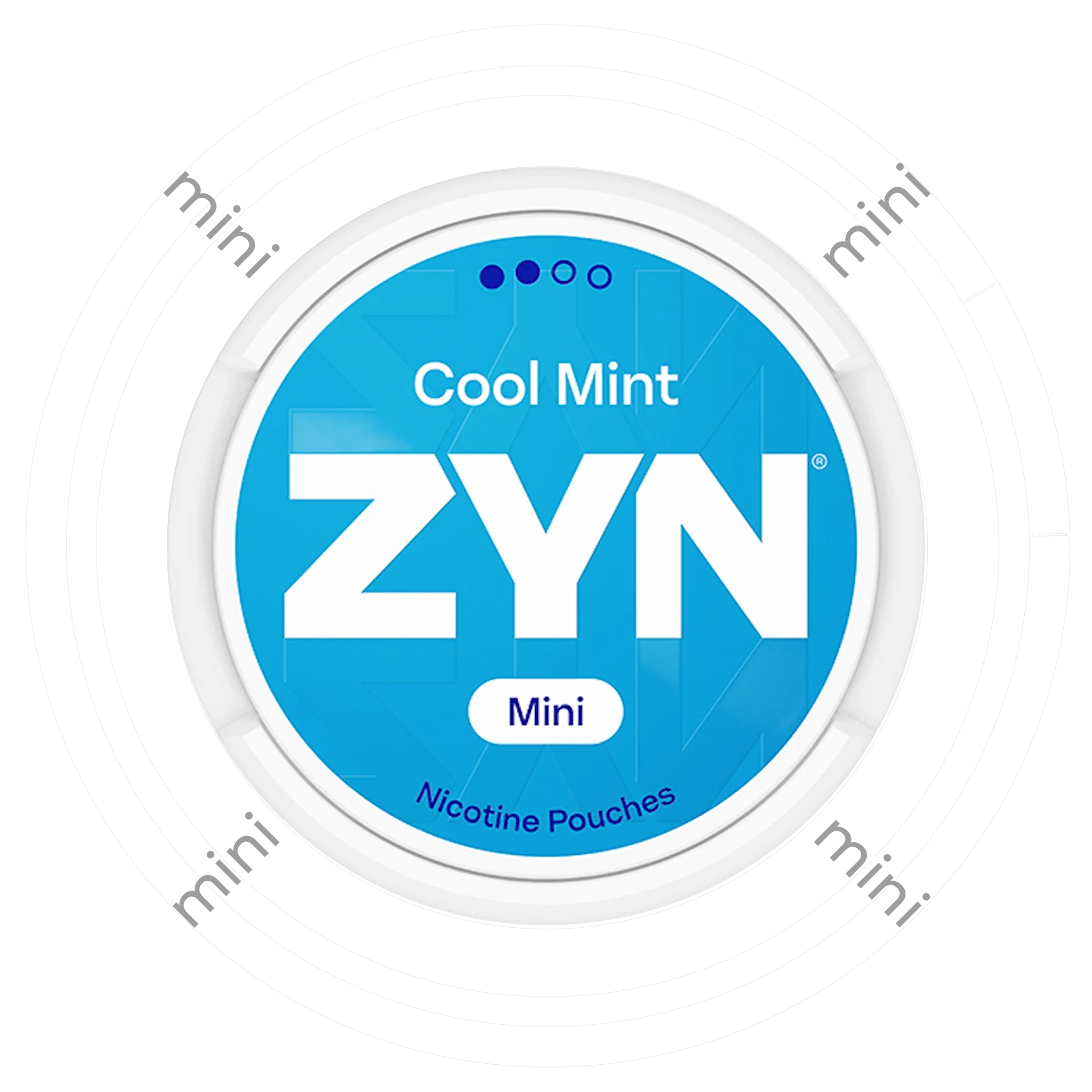 Zyn Cool Mint Mini 2