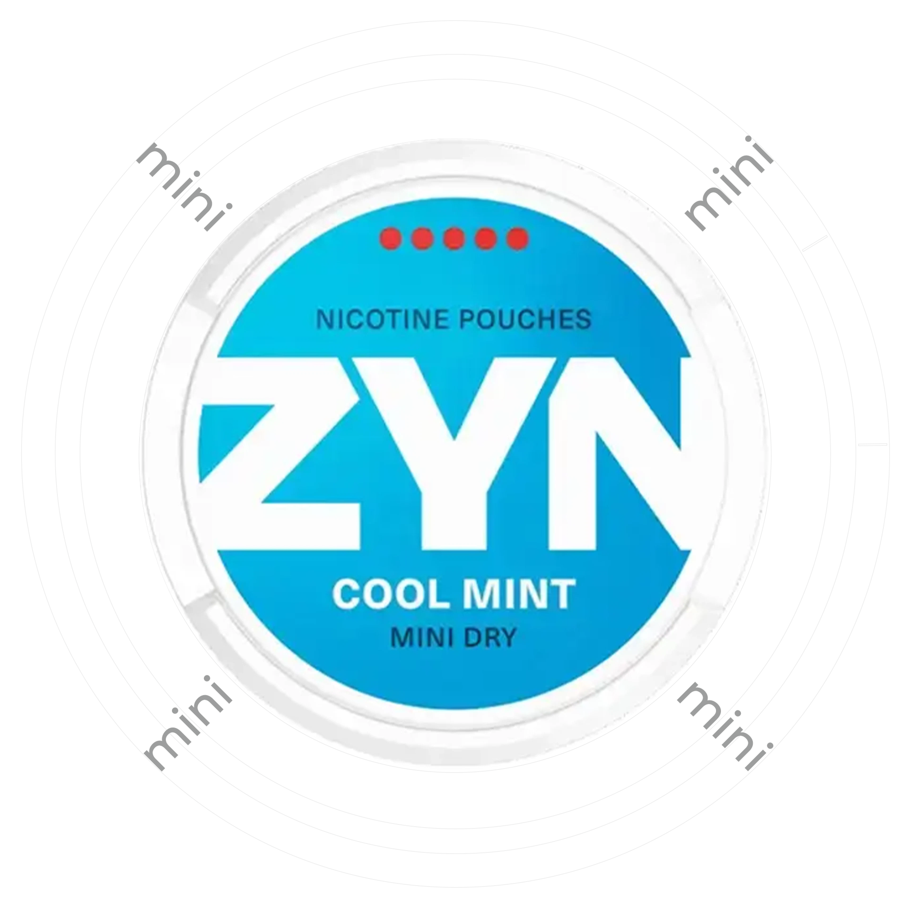 Zyn Cool Mint Mini Dry 5