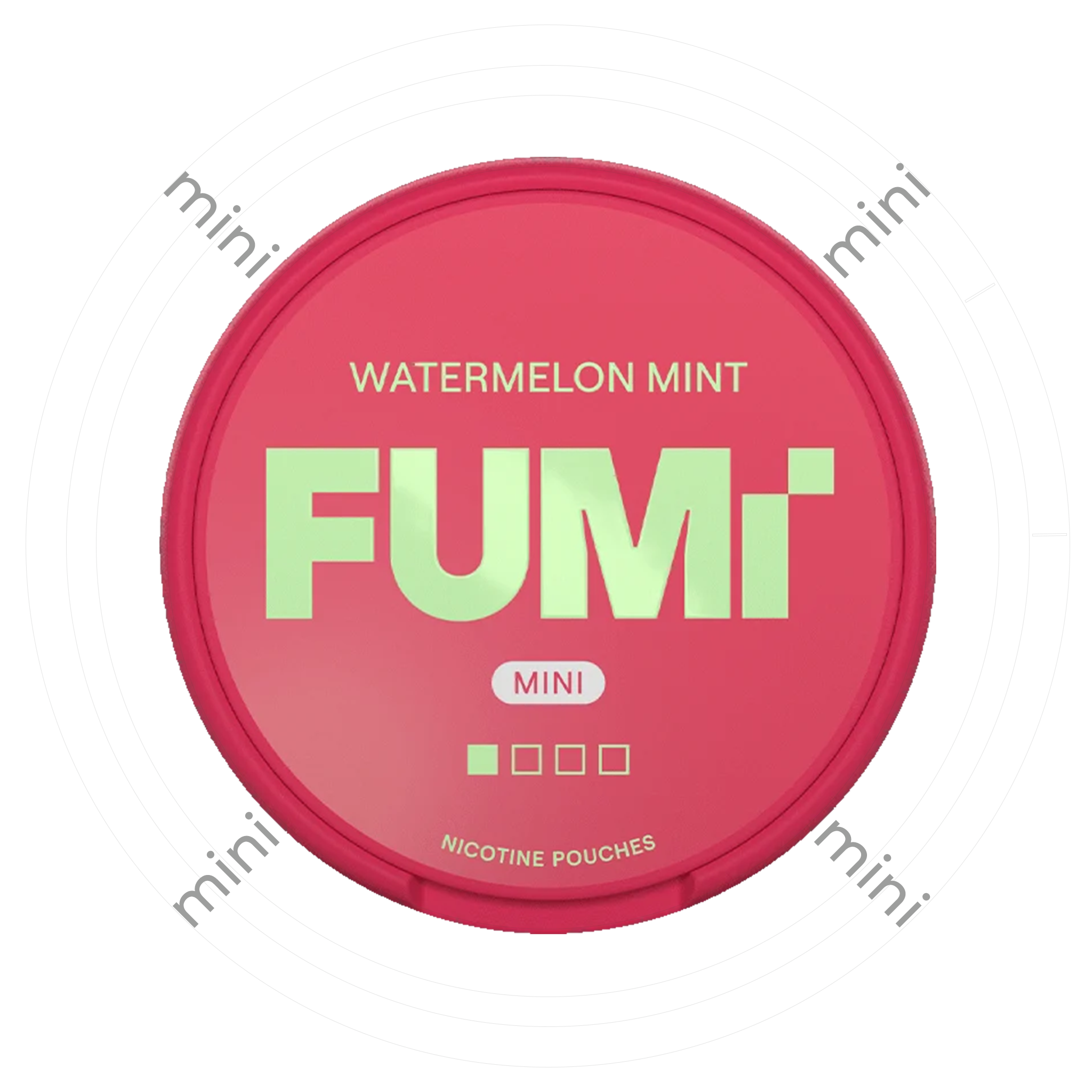 Fumi Watermelon Mint Mini 1