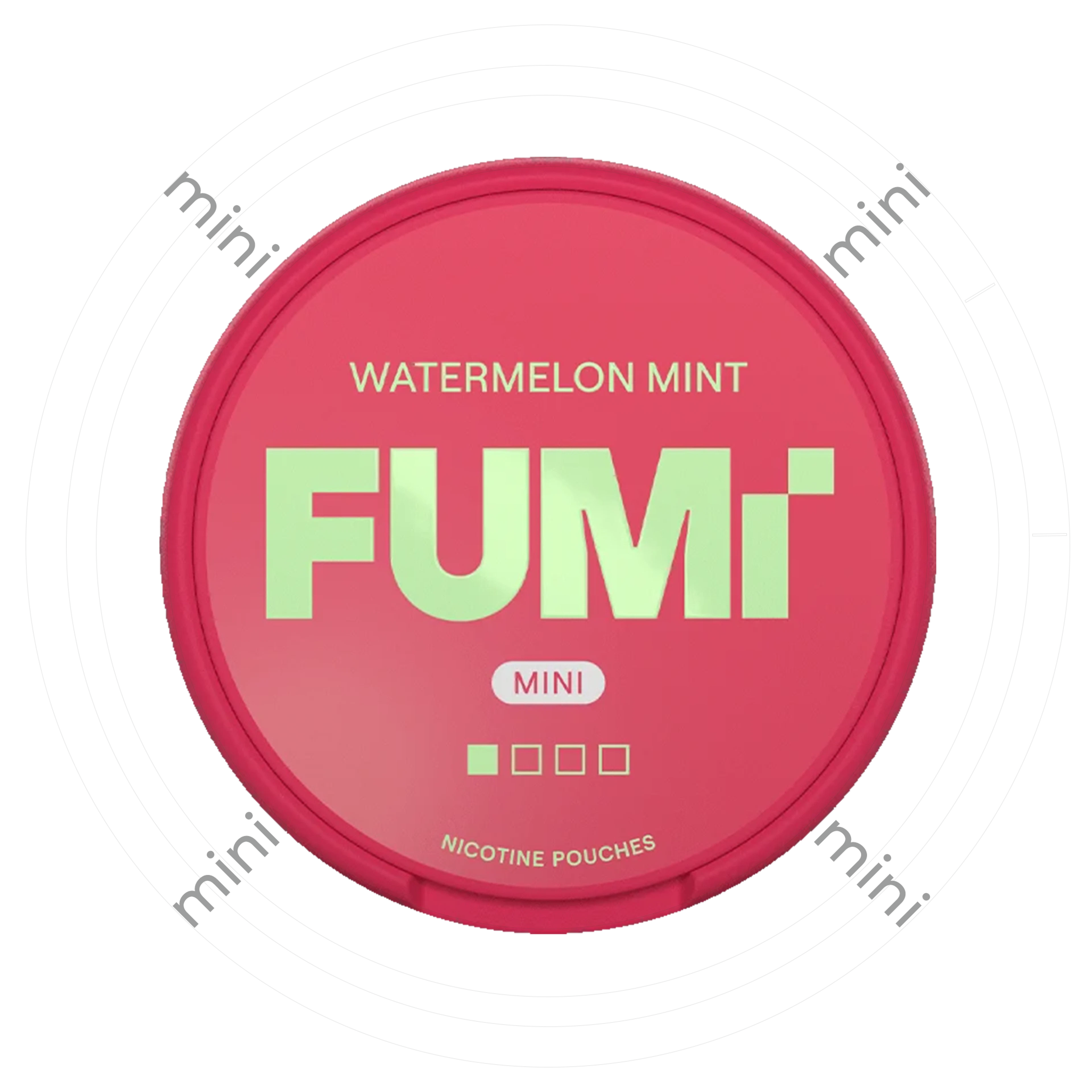 Fumi Watermelon Mint Mini 1