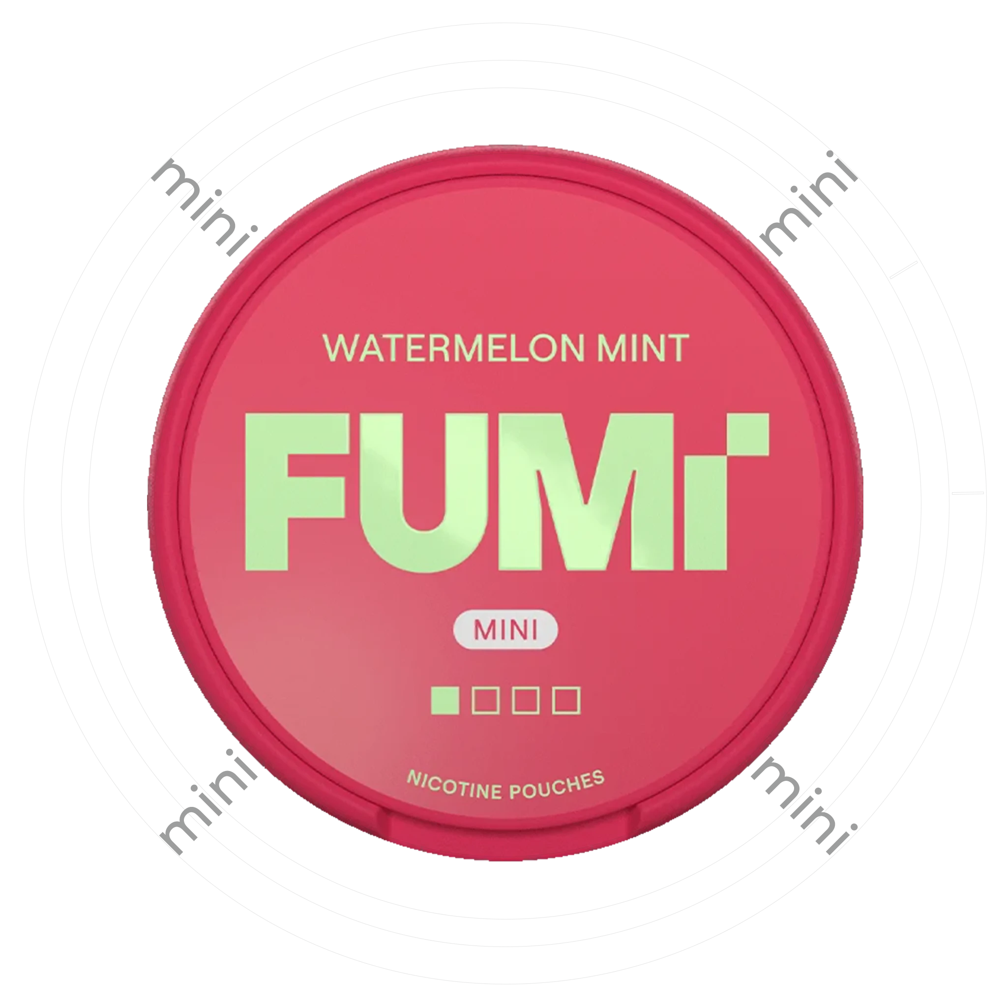 Fumi Watermelon Mint Mini 1