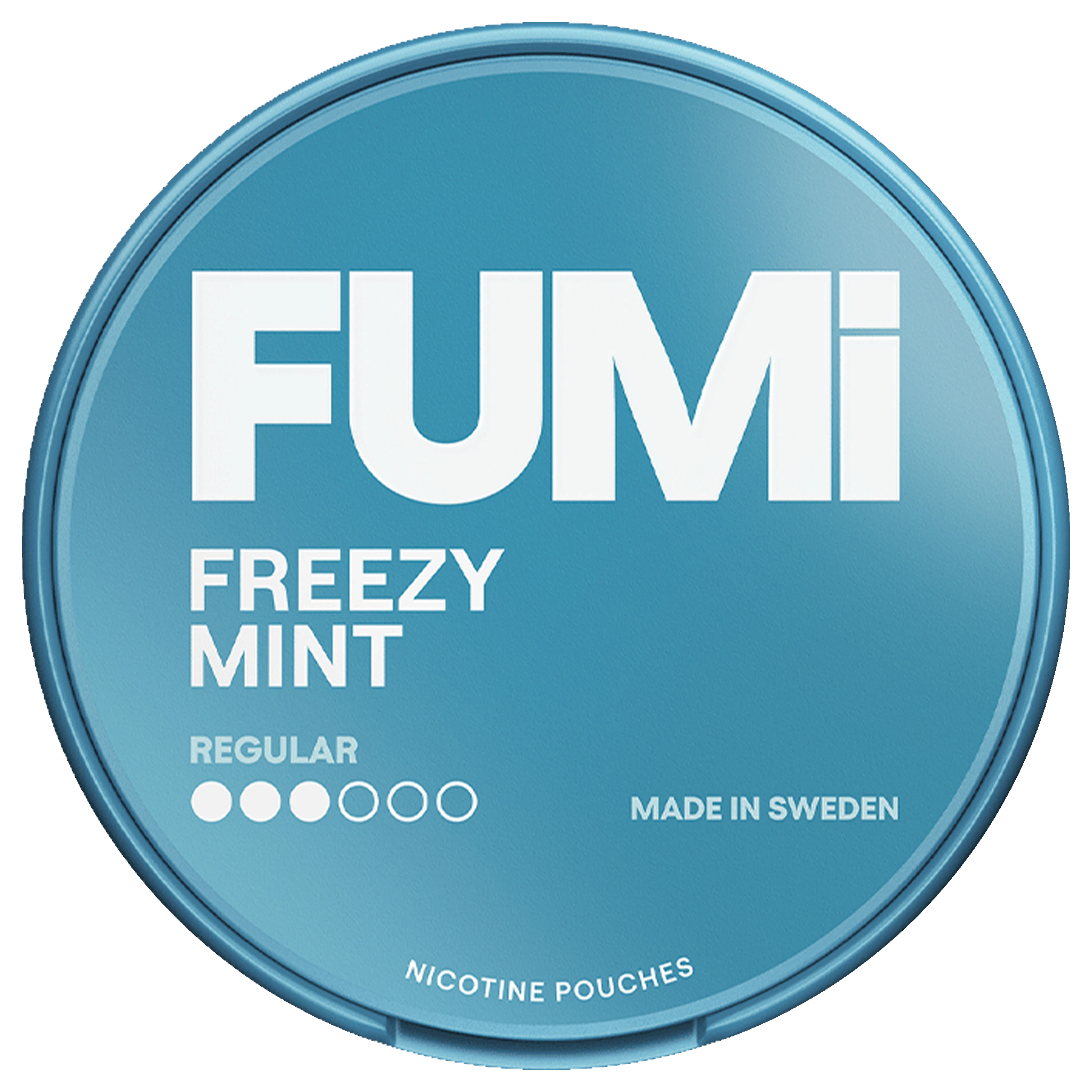 Fumi Freezy Mint Regular 3