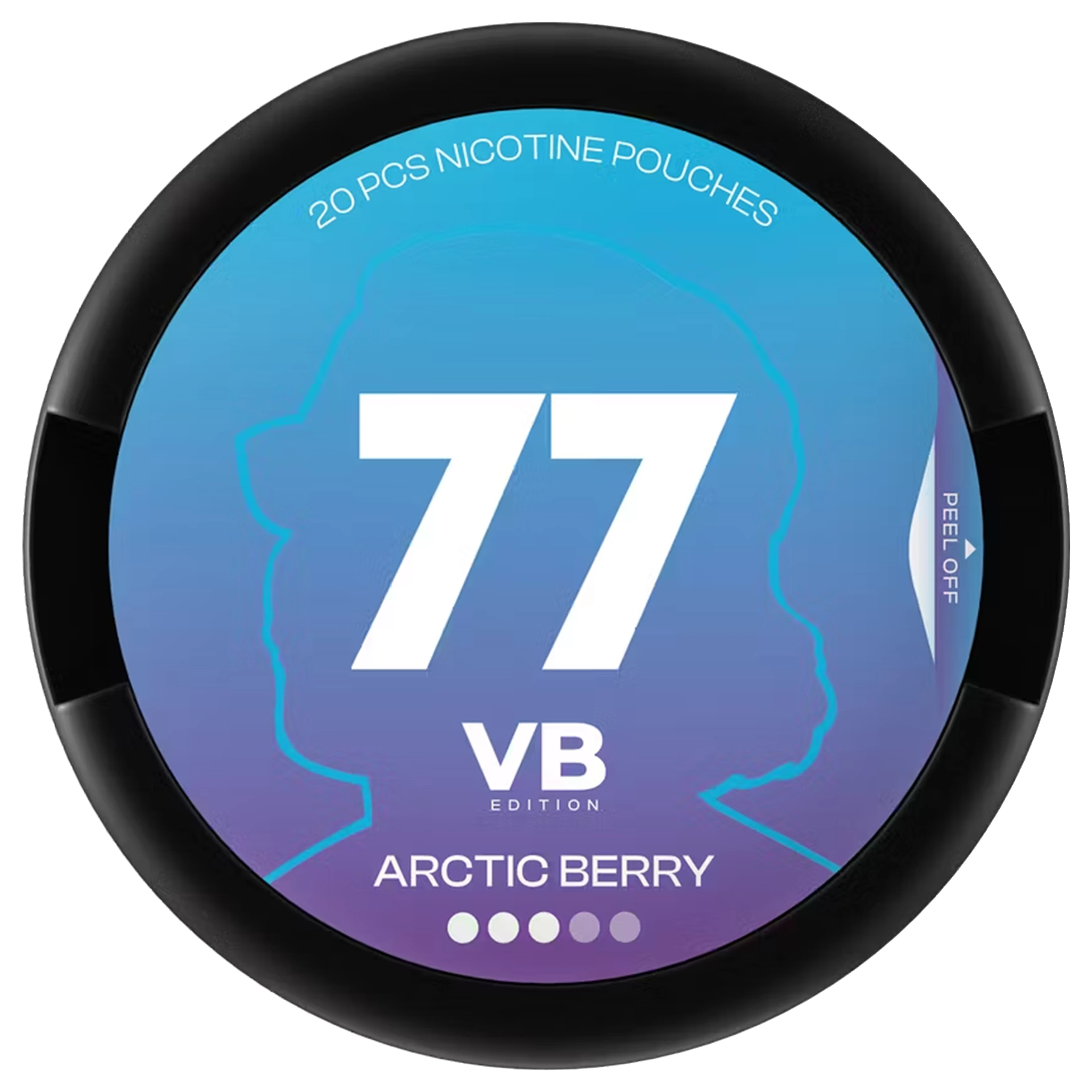 77 VB Edition Arctic Berry 3
