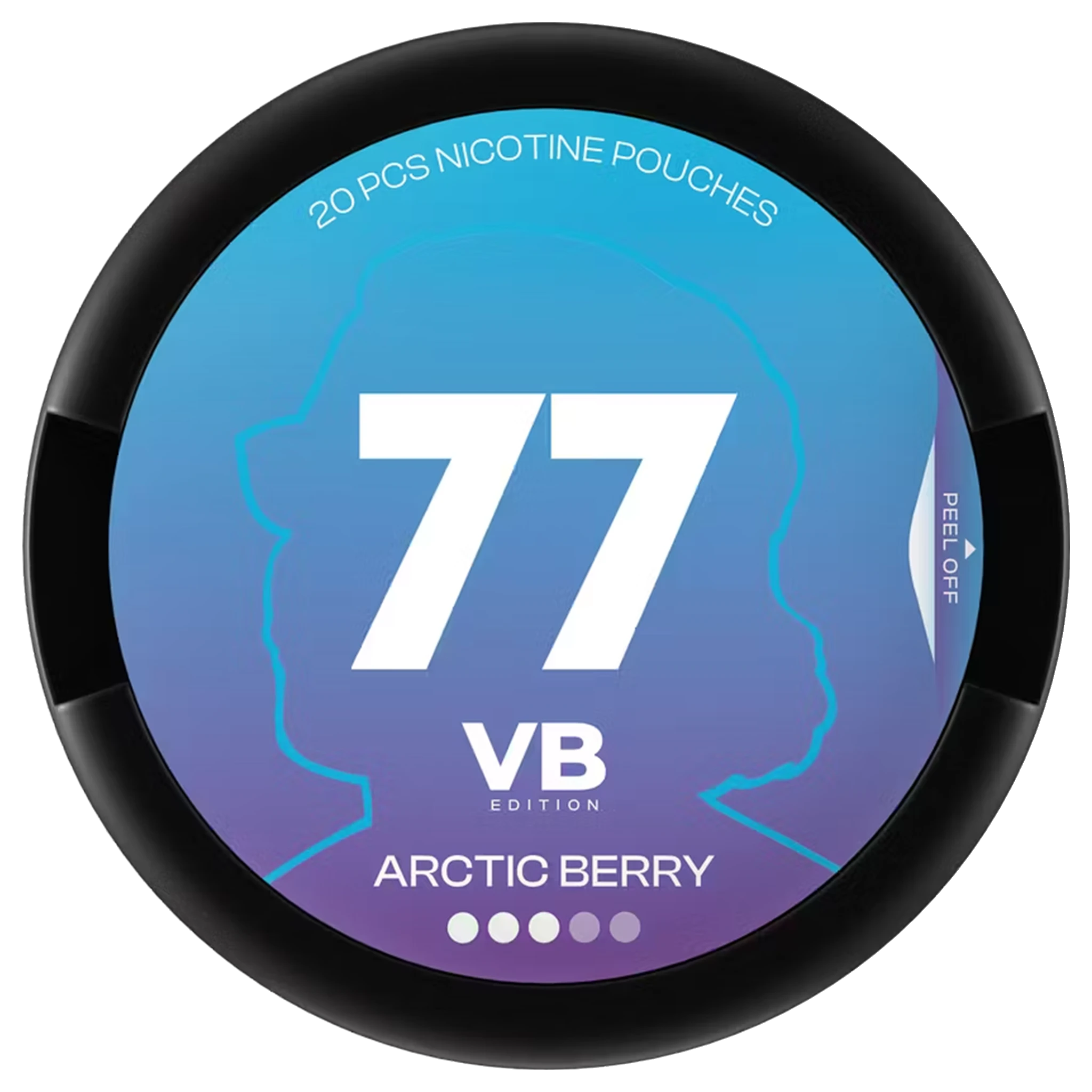 77 VB Edition Arctic Berry 3