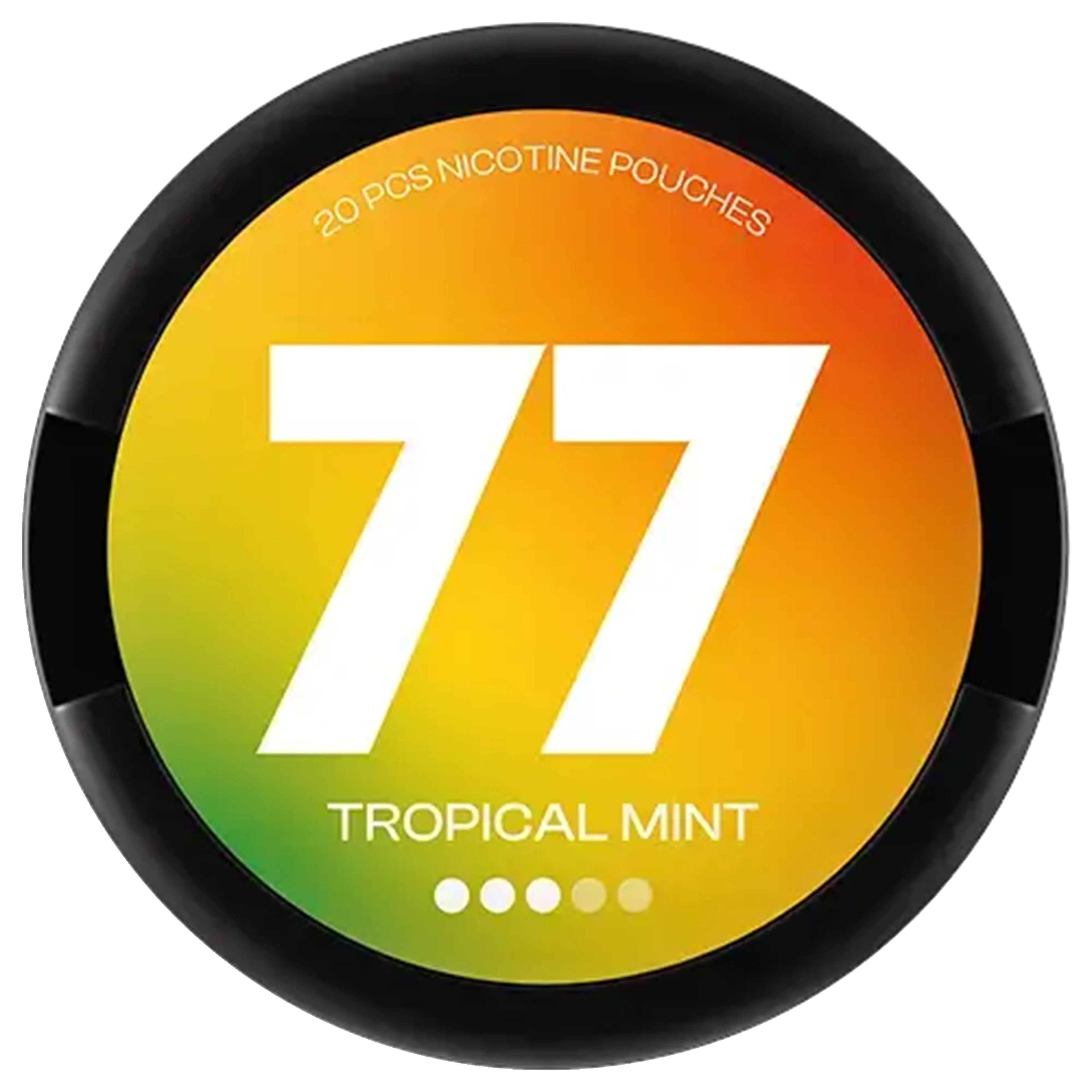 77 Tropical Mint 3