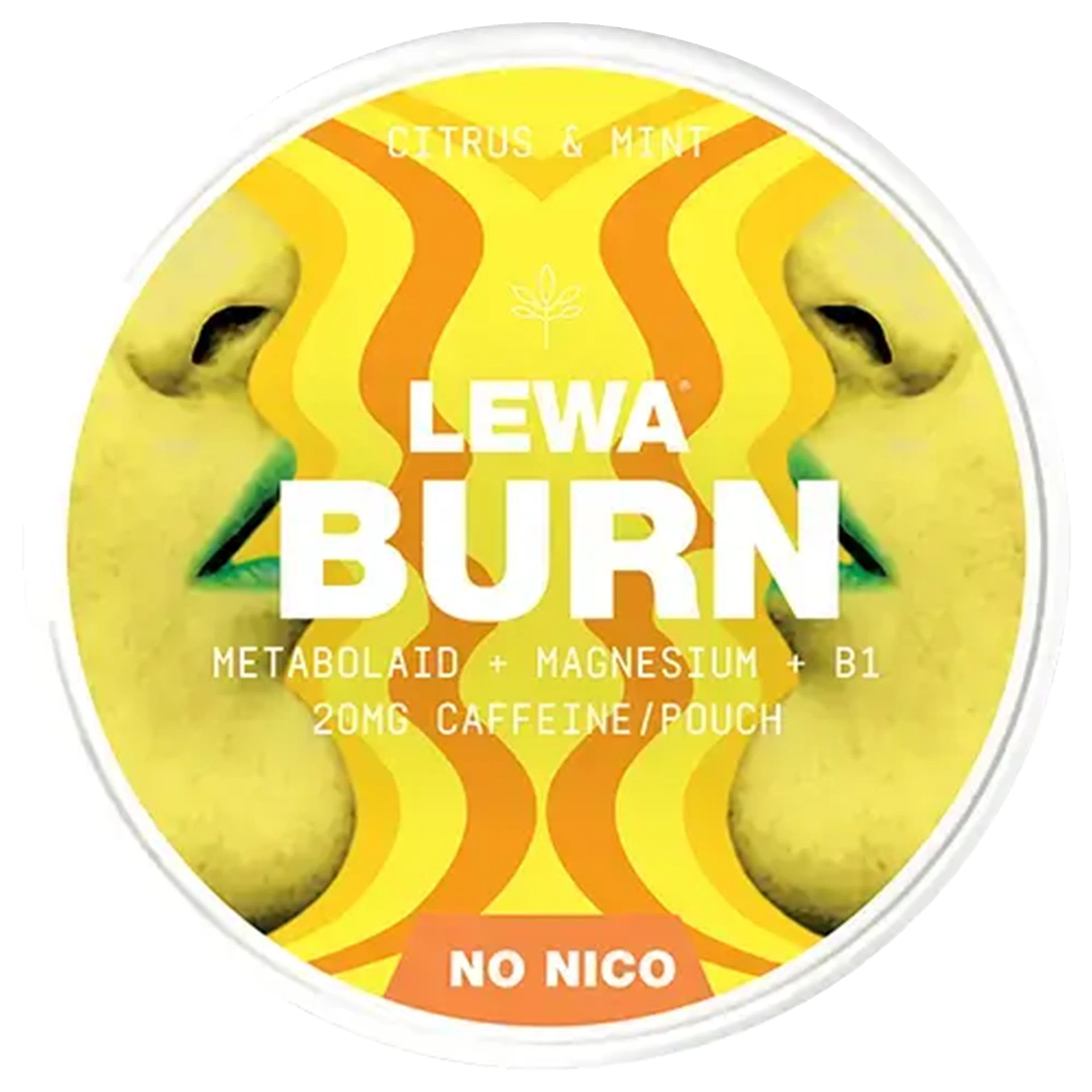 LEWA Burn Functional Citrus Mint