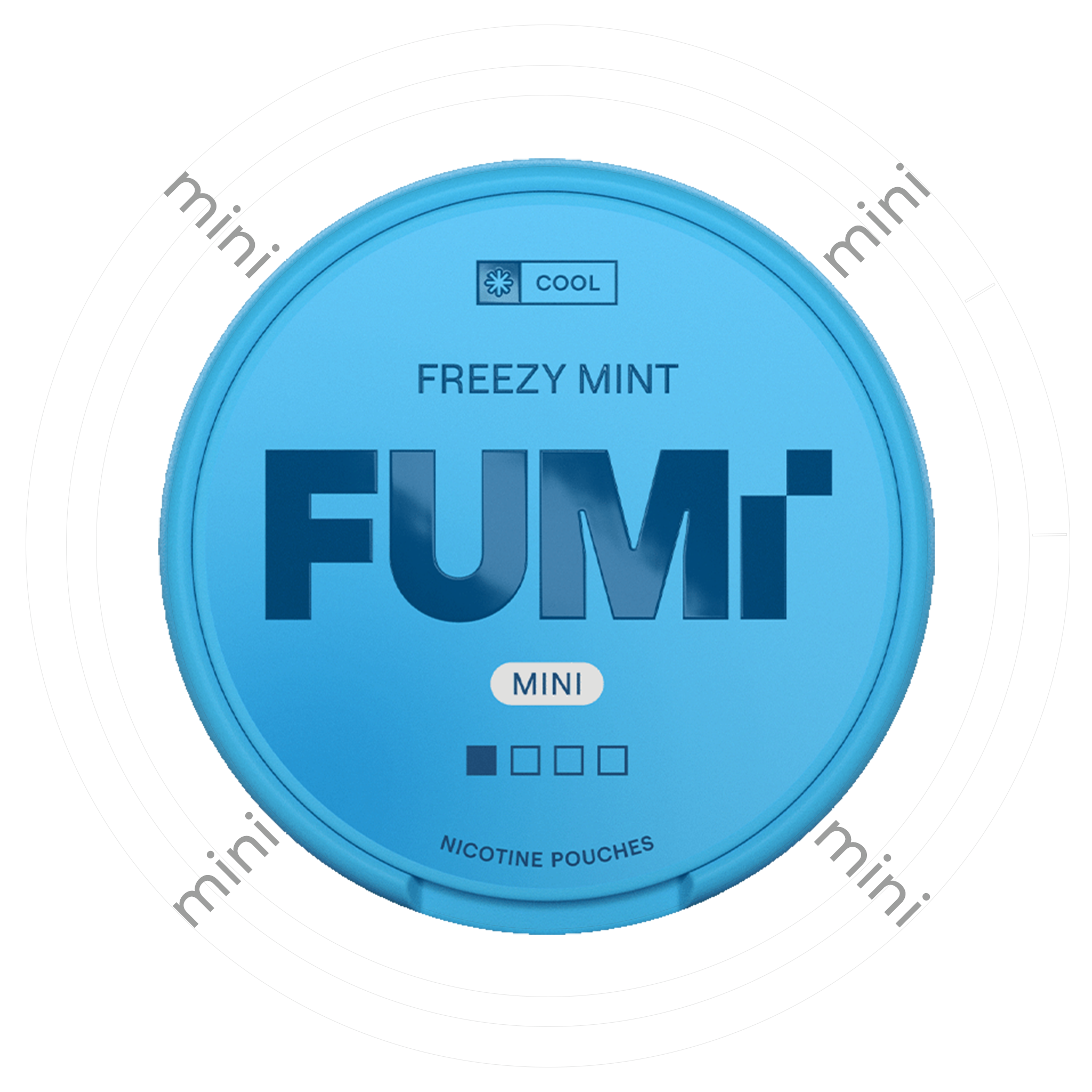 FUMi Freezy Mint Mini 1