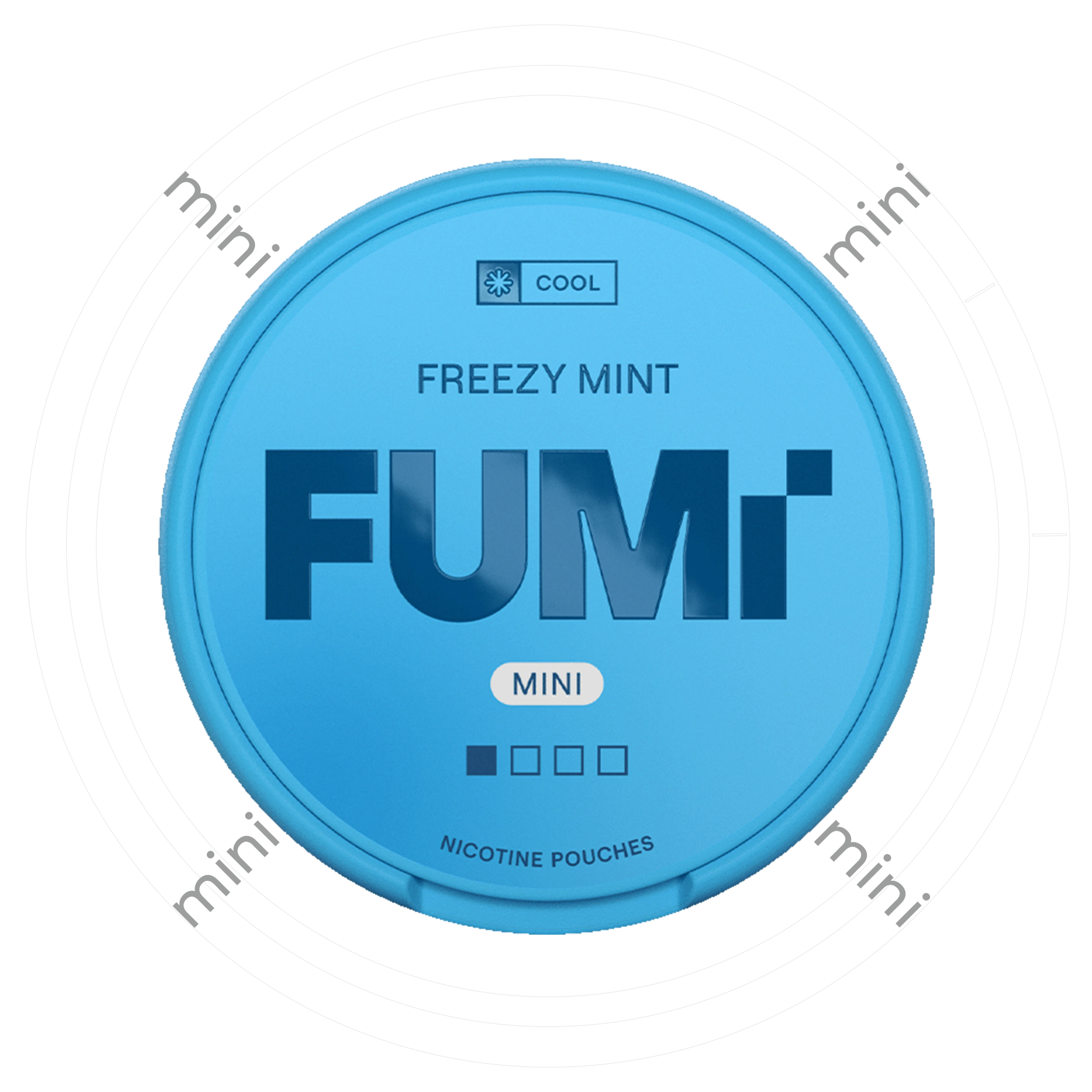 FUMi Freezy Mint Mini 1