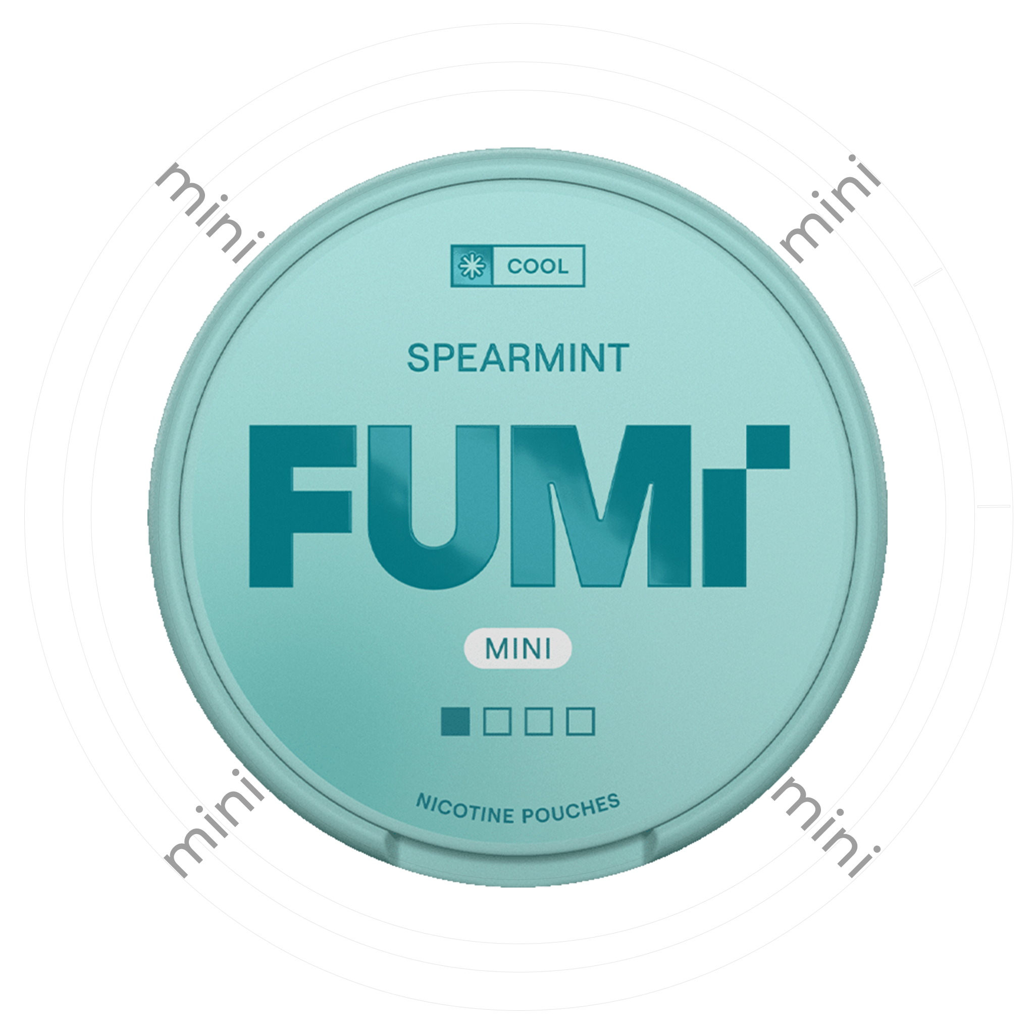 FUMi Spearmint Mini 1