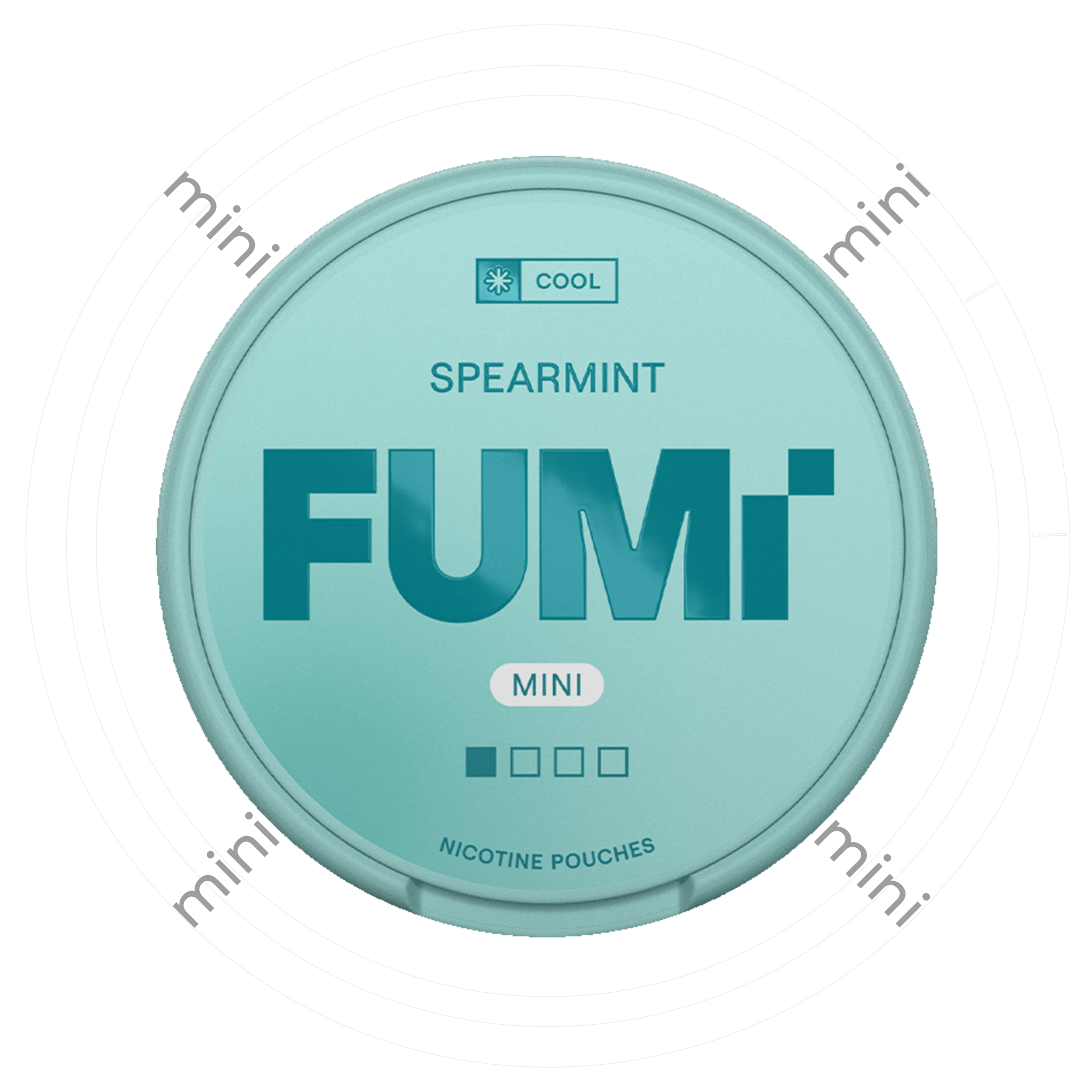 FUMi Spearmint Mini 1