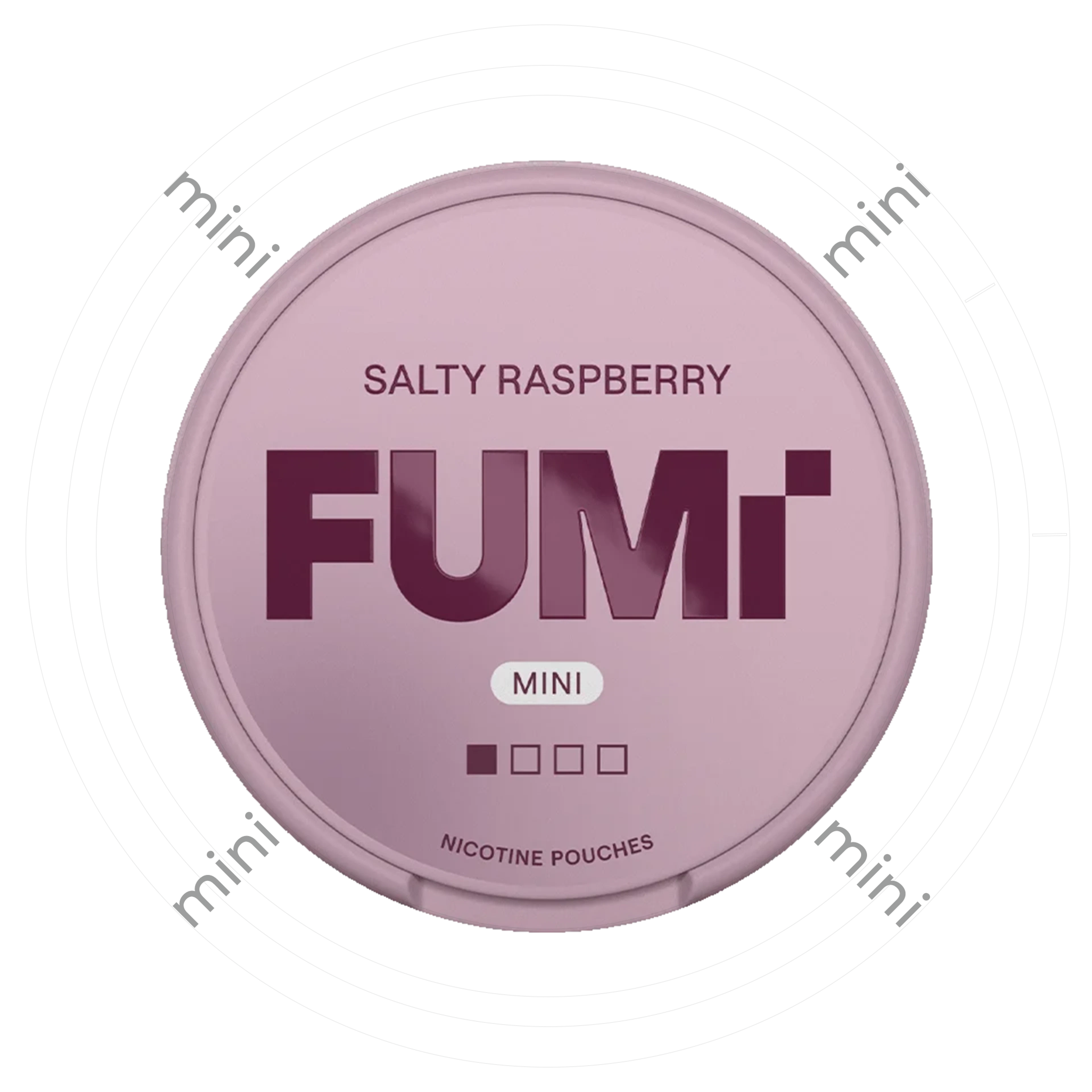 FUMi Salty Raspberry Mini 1