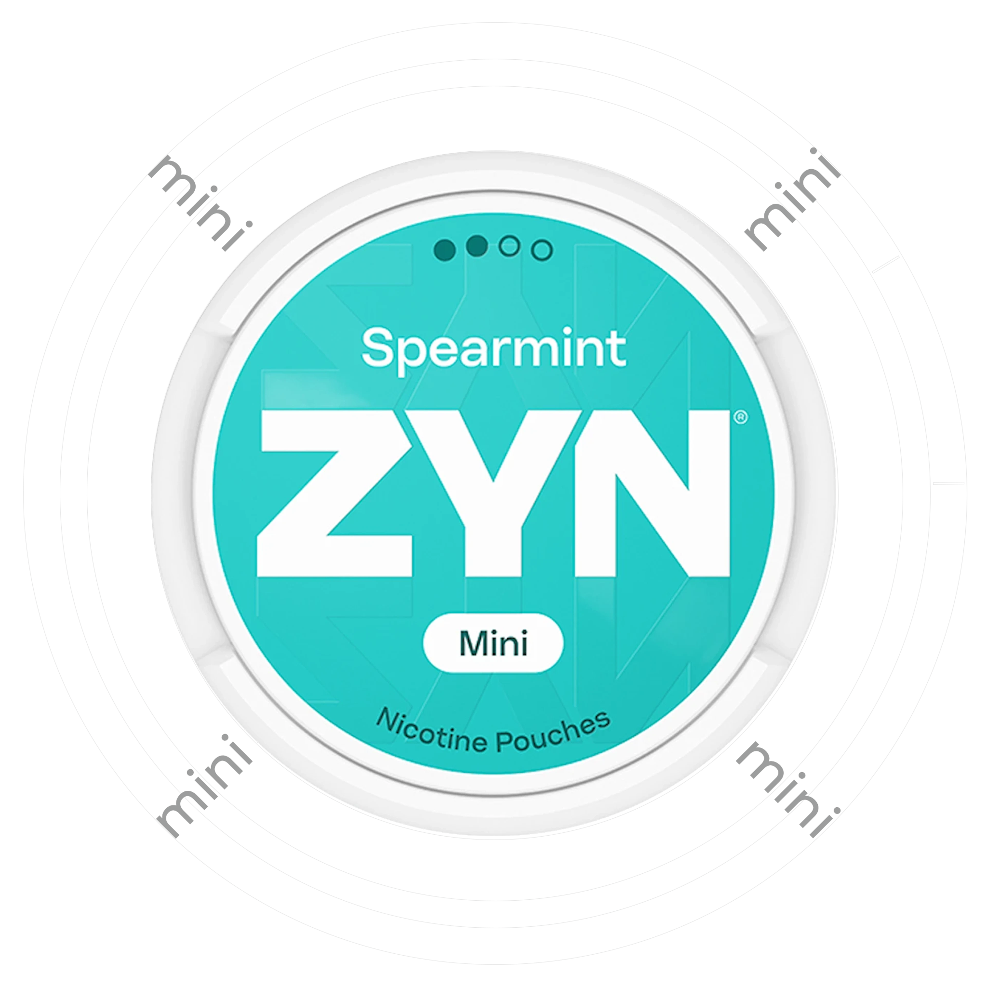 Zyn Spearmint Mini 2