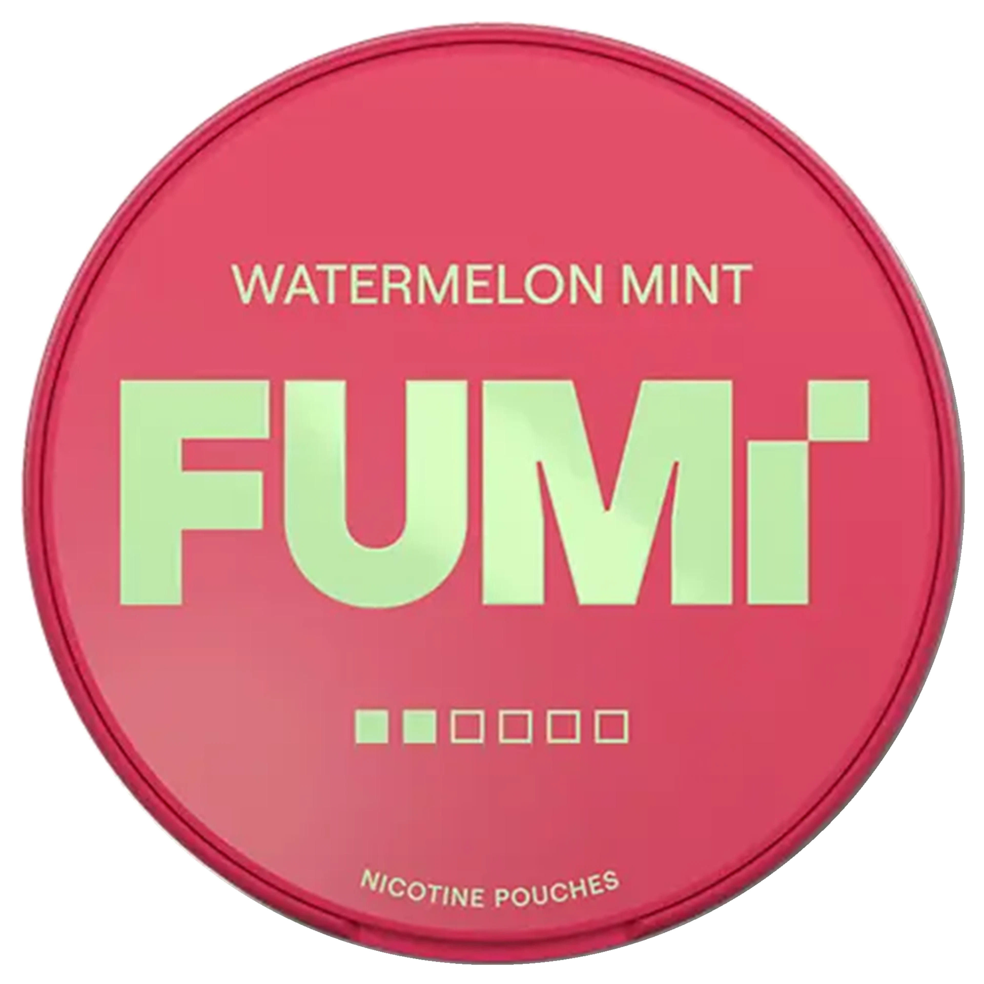 FUMi Watermelon Mint 2