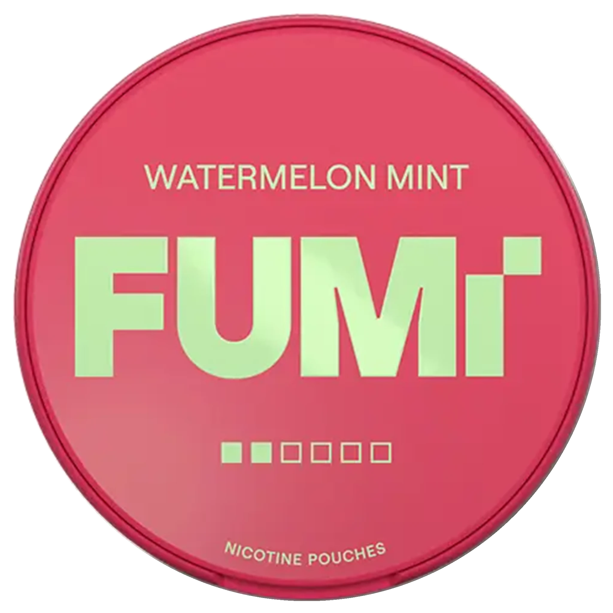 FUMi Watermelon Mint 2