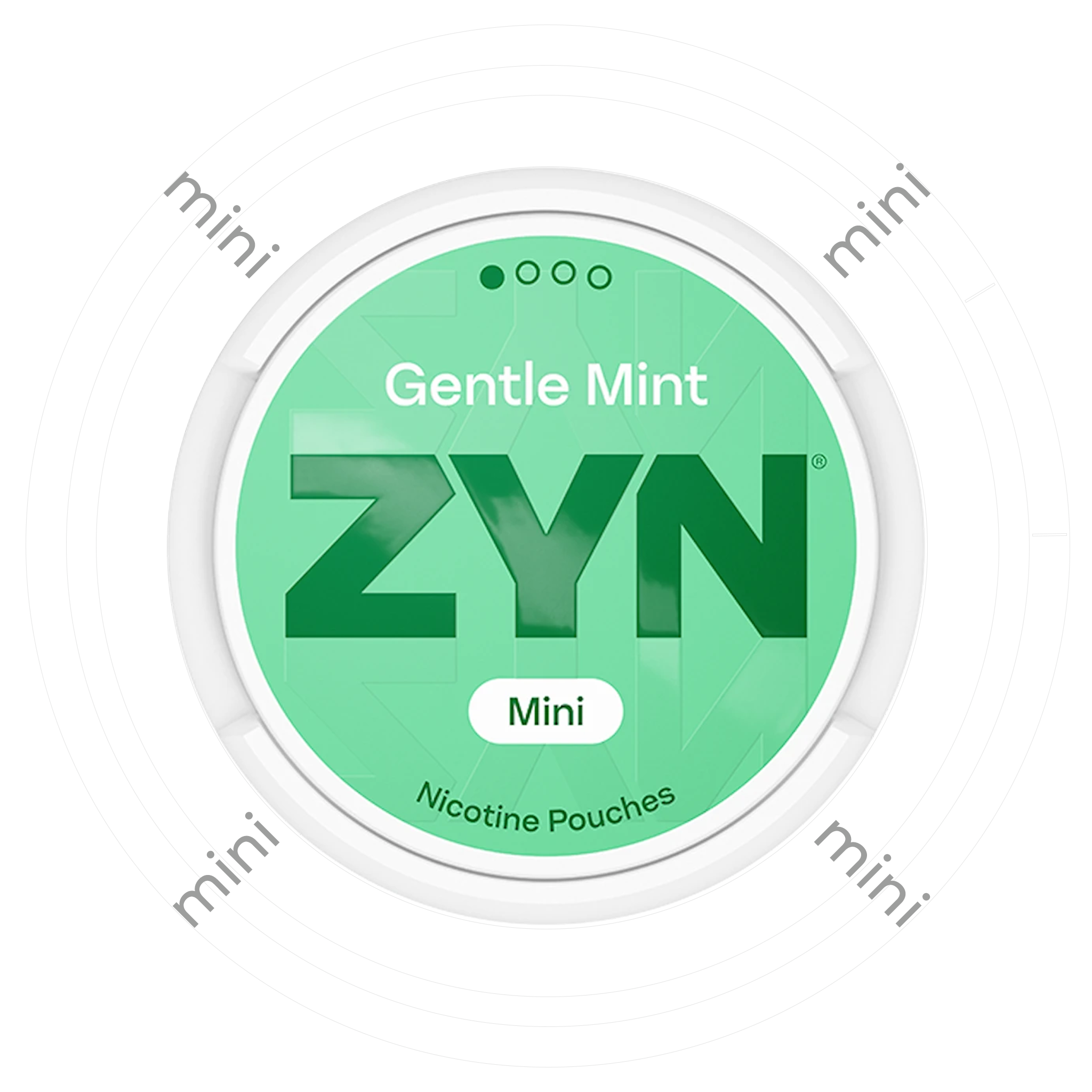 Zyn Gentle Mint Mini 1