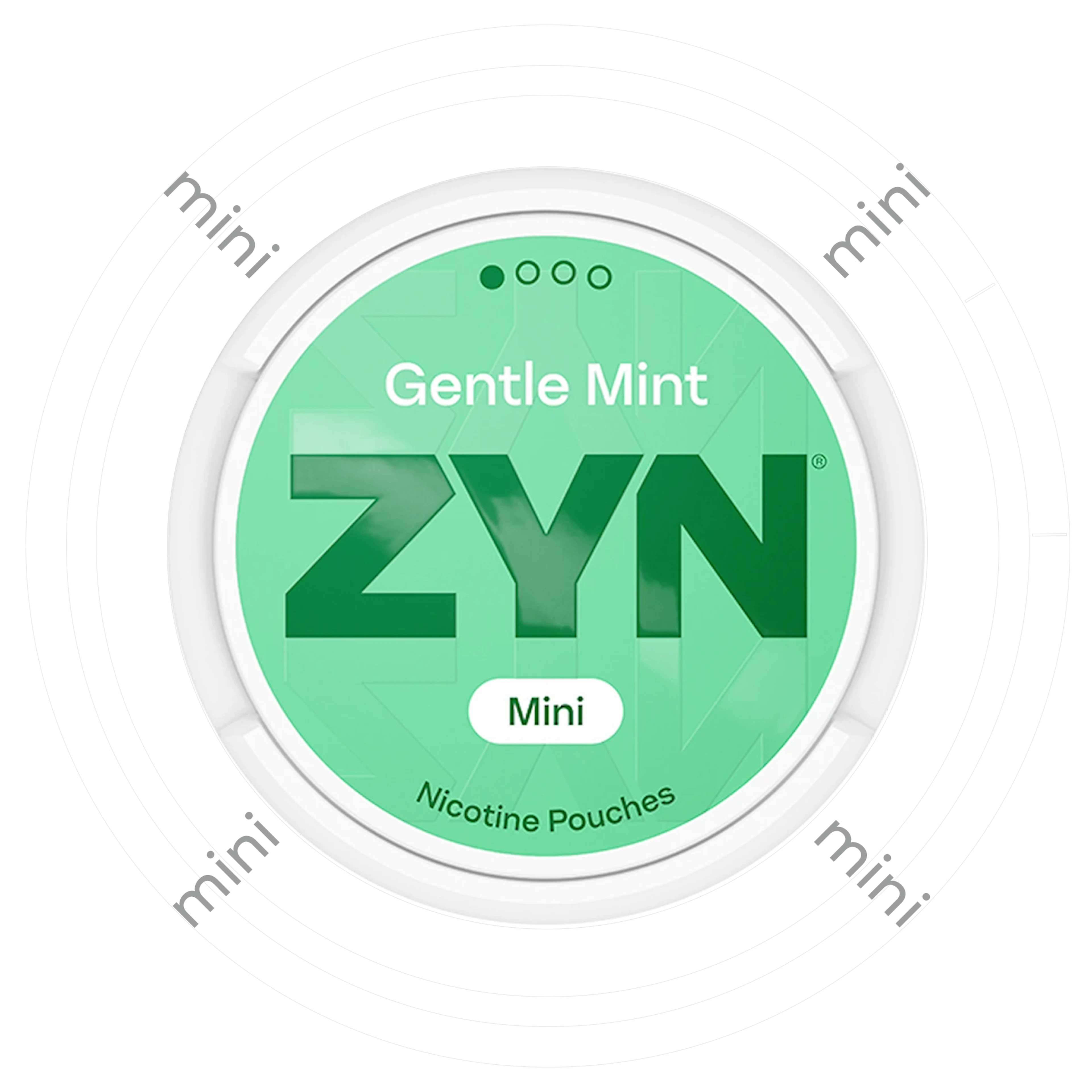 Zyn Gentle Mint Mini 1
