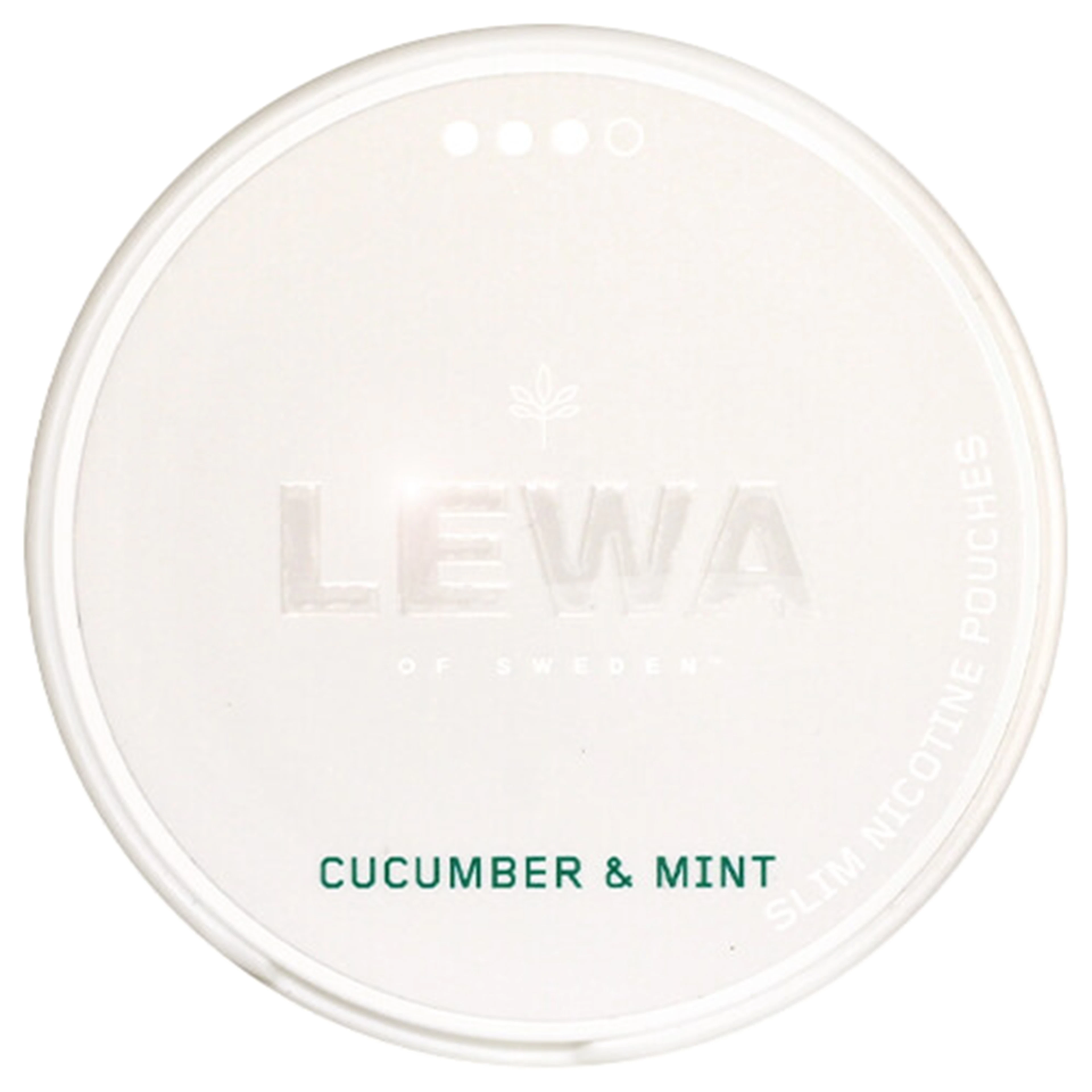 LEWA Cucumber Mint