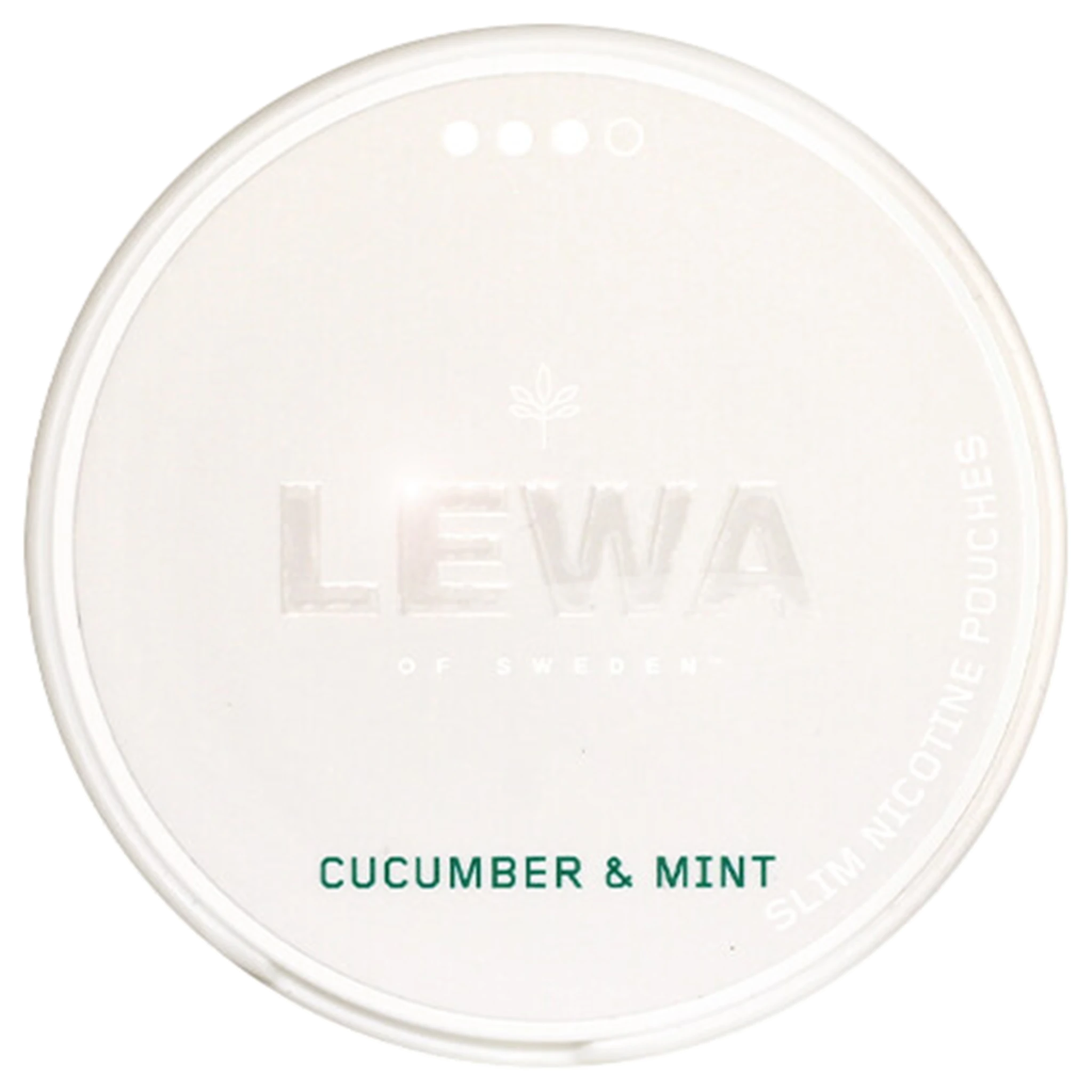 LEWA Cucumber Mint