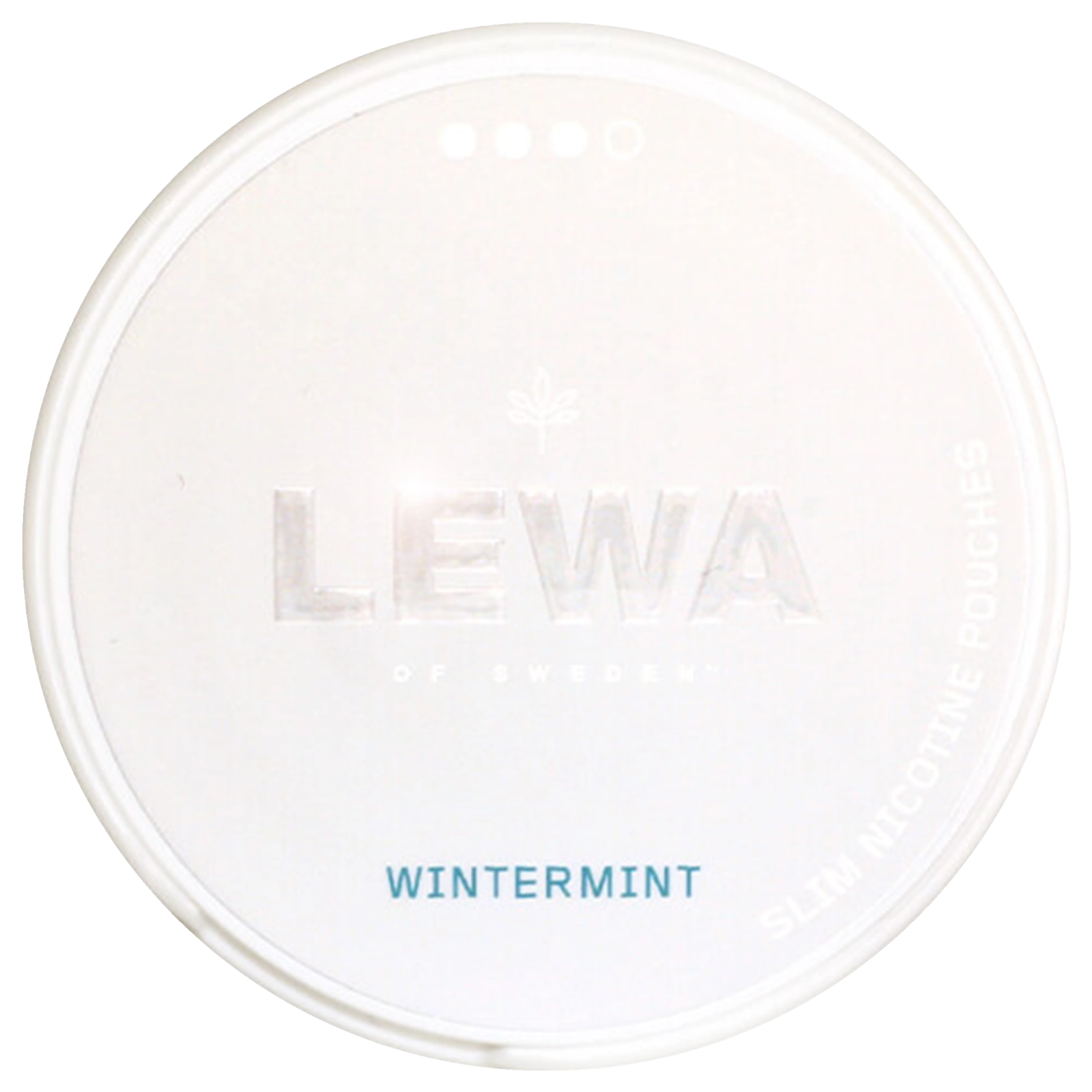 LEWA Wintermint
