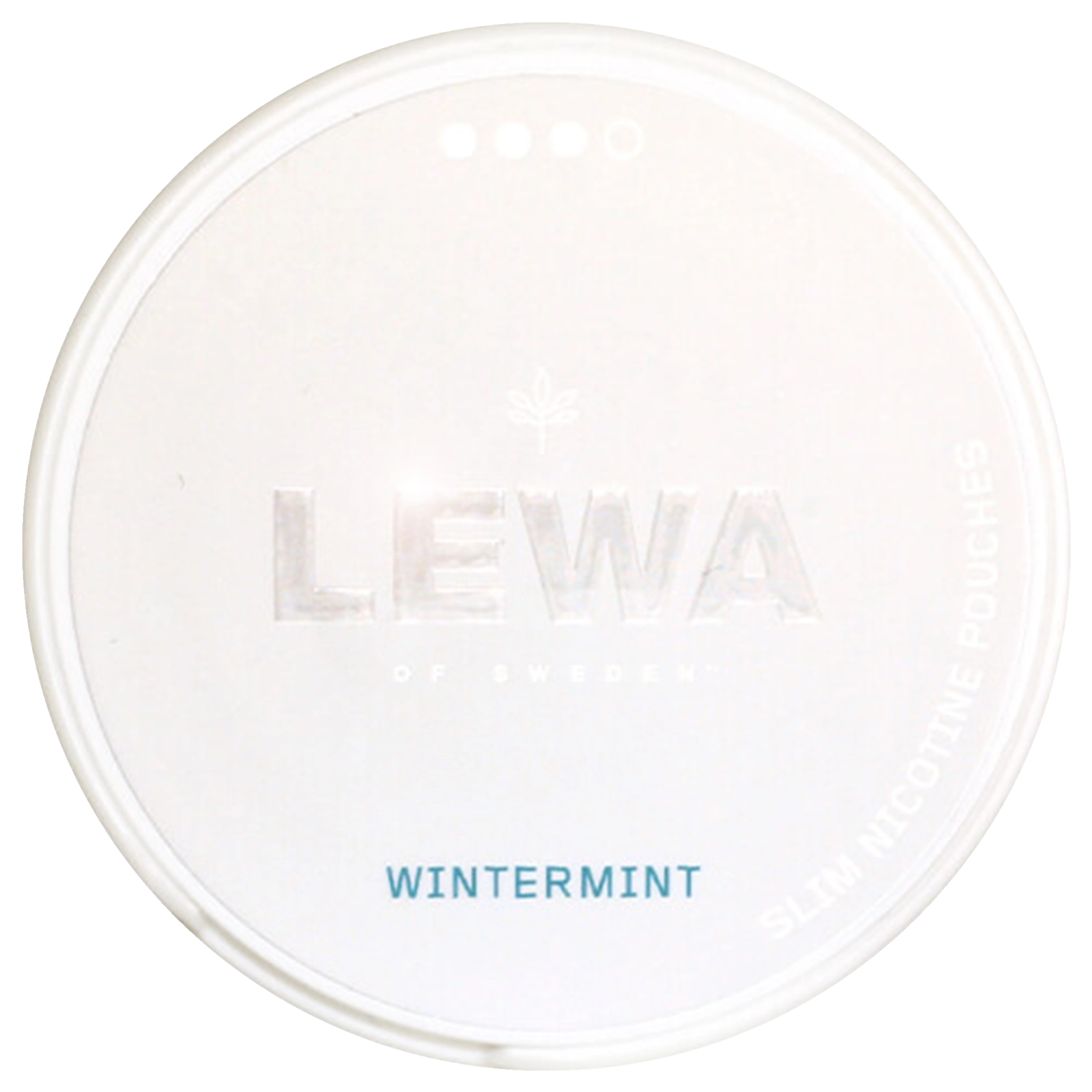 LEWA Wintermint