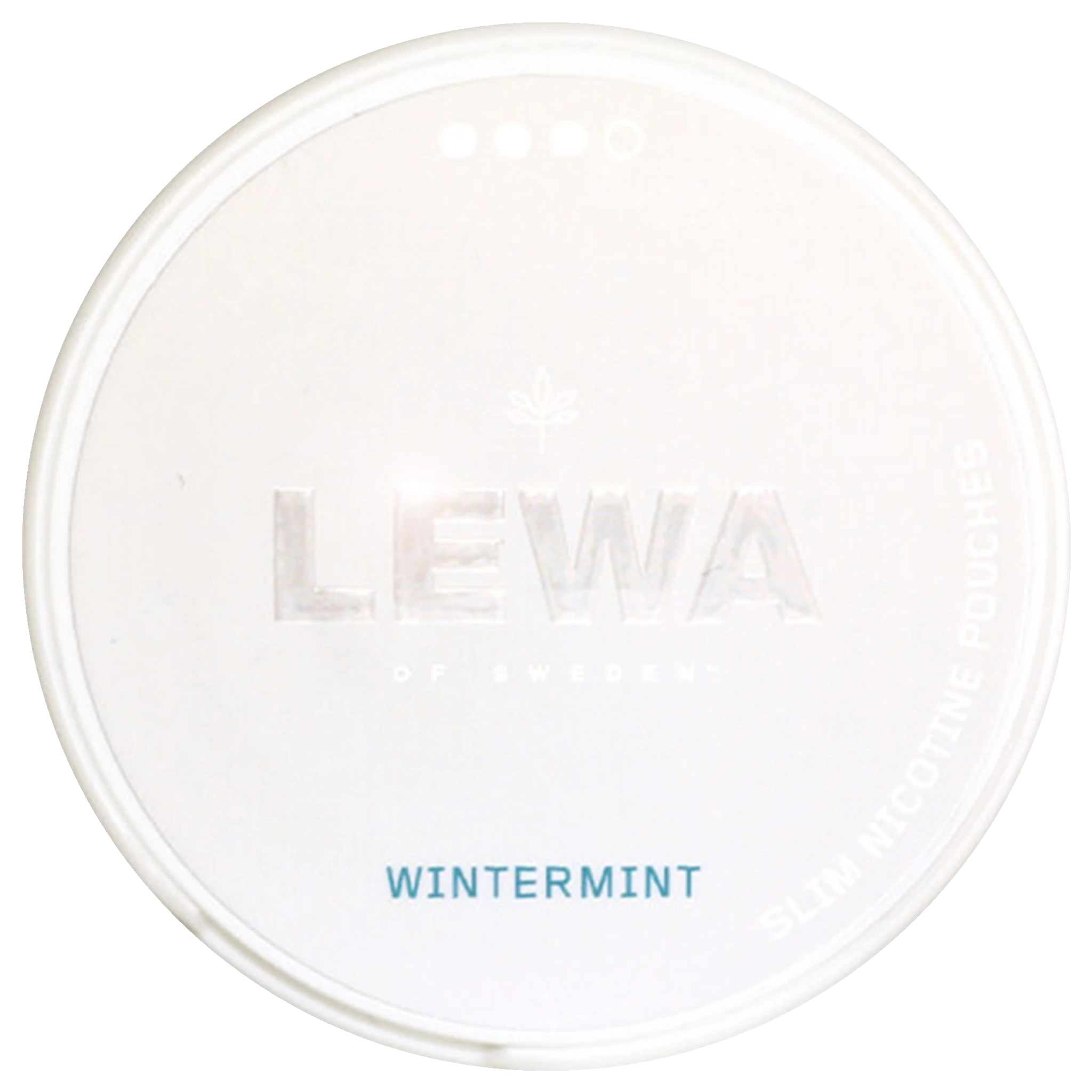 LEWA Wintermint